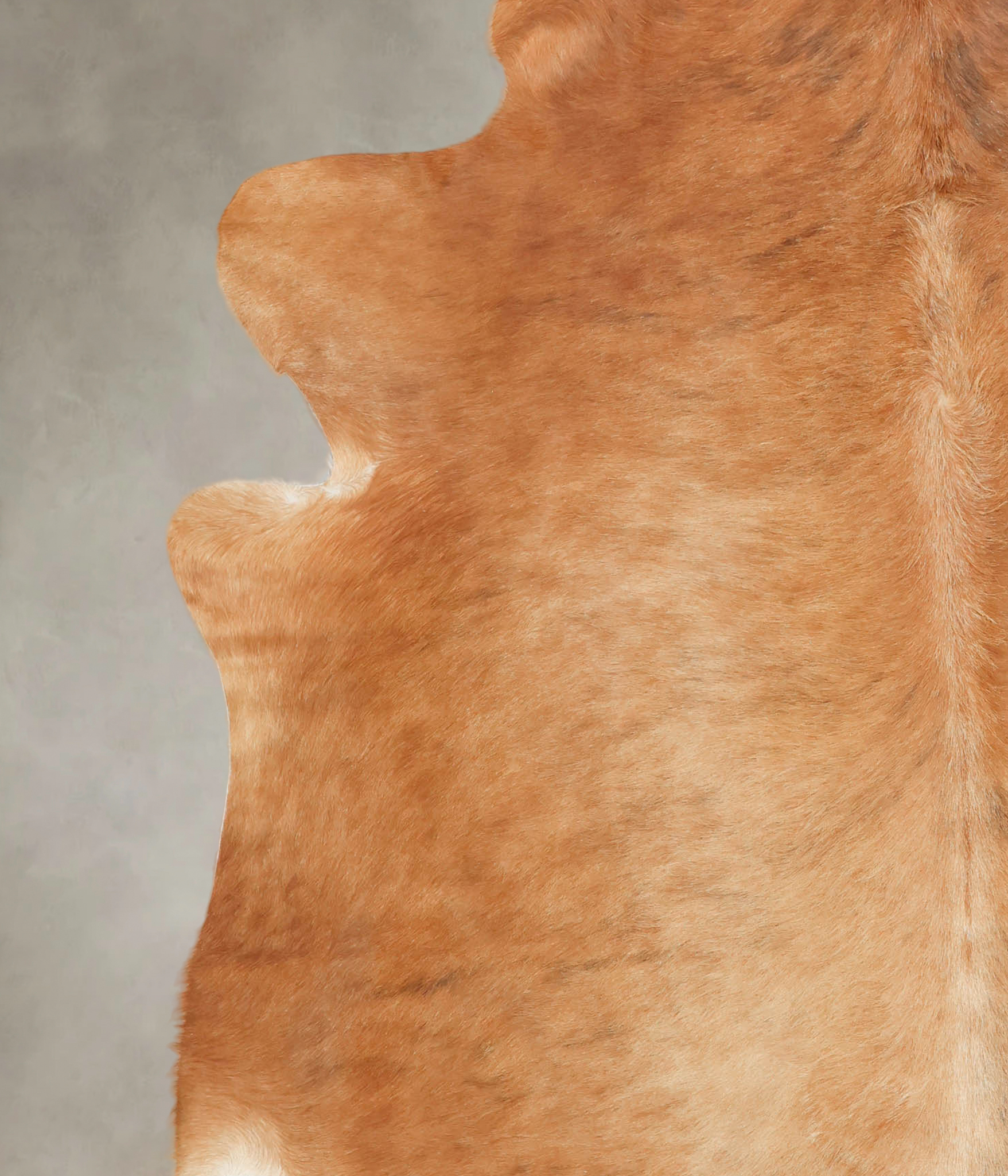 Medium Brindle Cowhide Rug #B3263