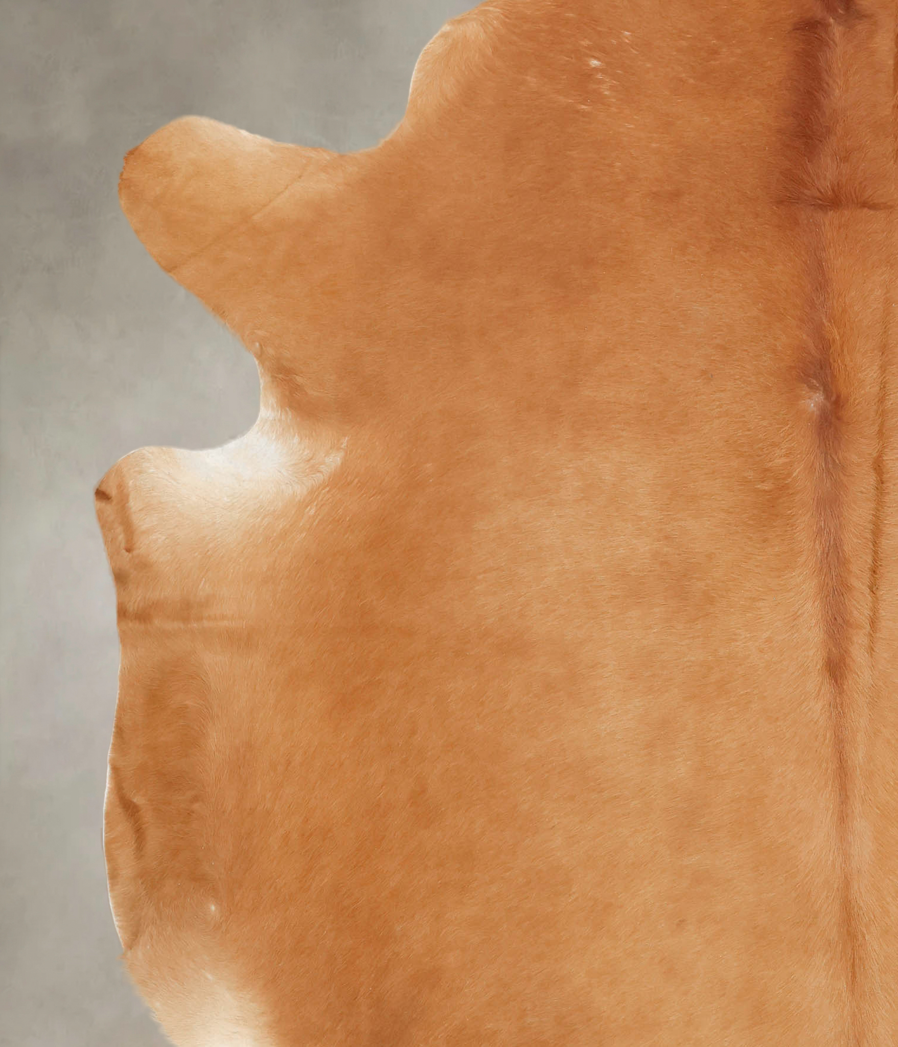 Solid Brown Cowhide Rug #B3435