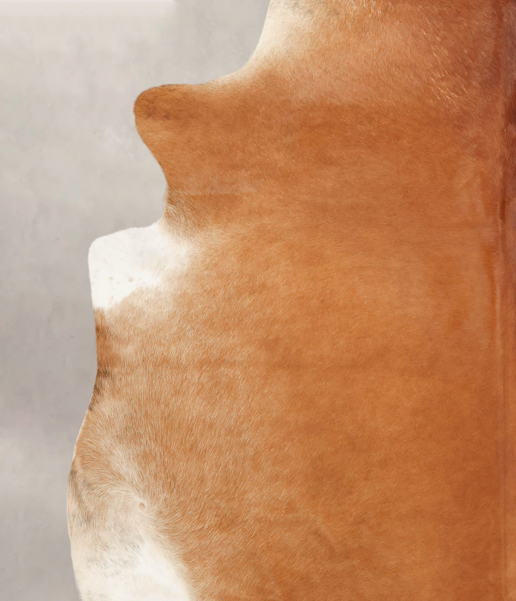 Solid Brown Cowhide Rug #B3522