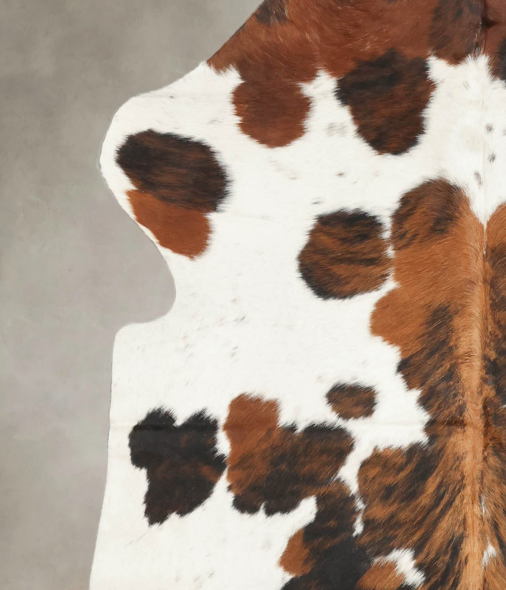 Tricolor Cowhide Rug #B5266