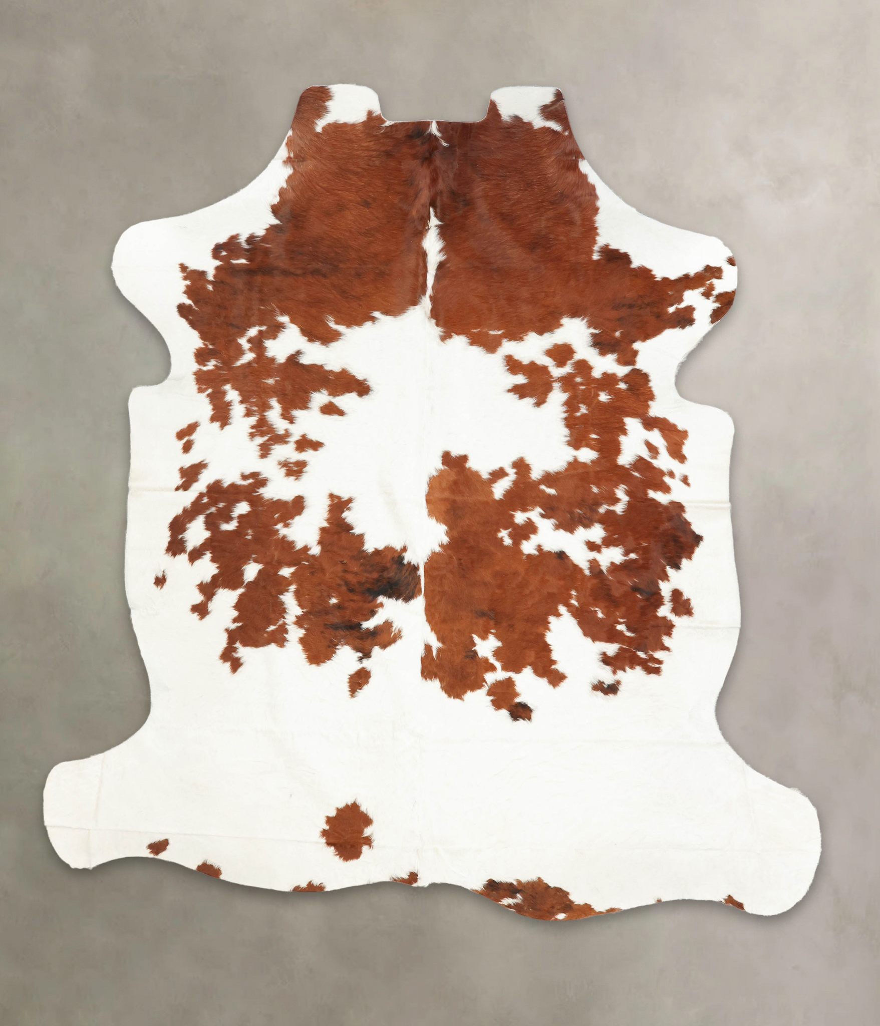 Brown and White Cowhide Rug #B5278