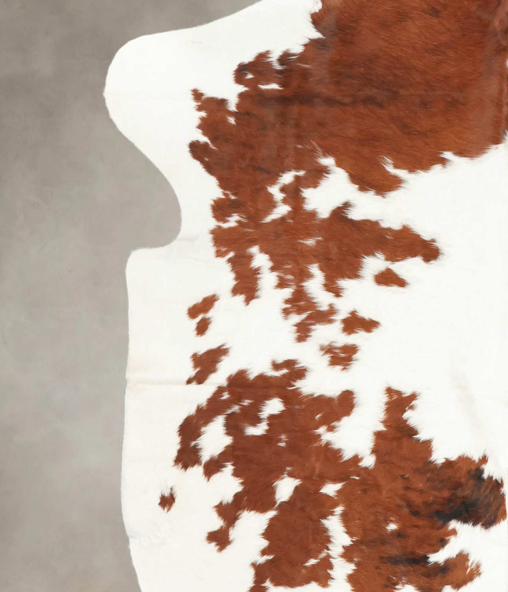 Brown and White Cowhide Rug #B5278