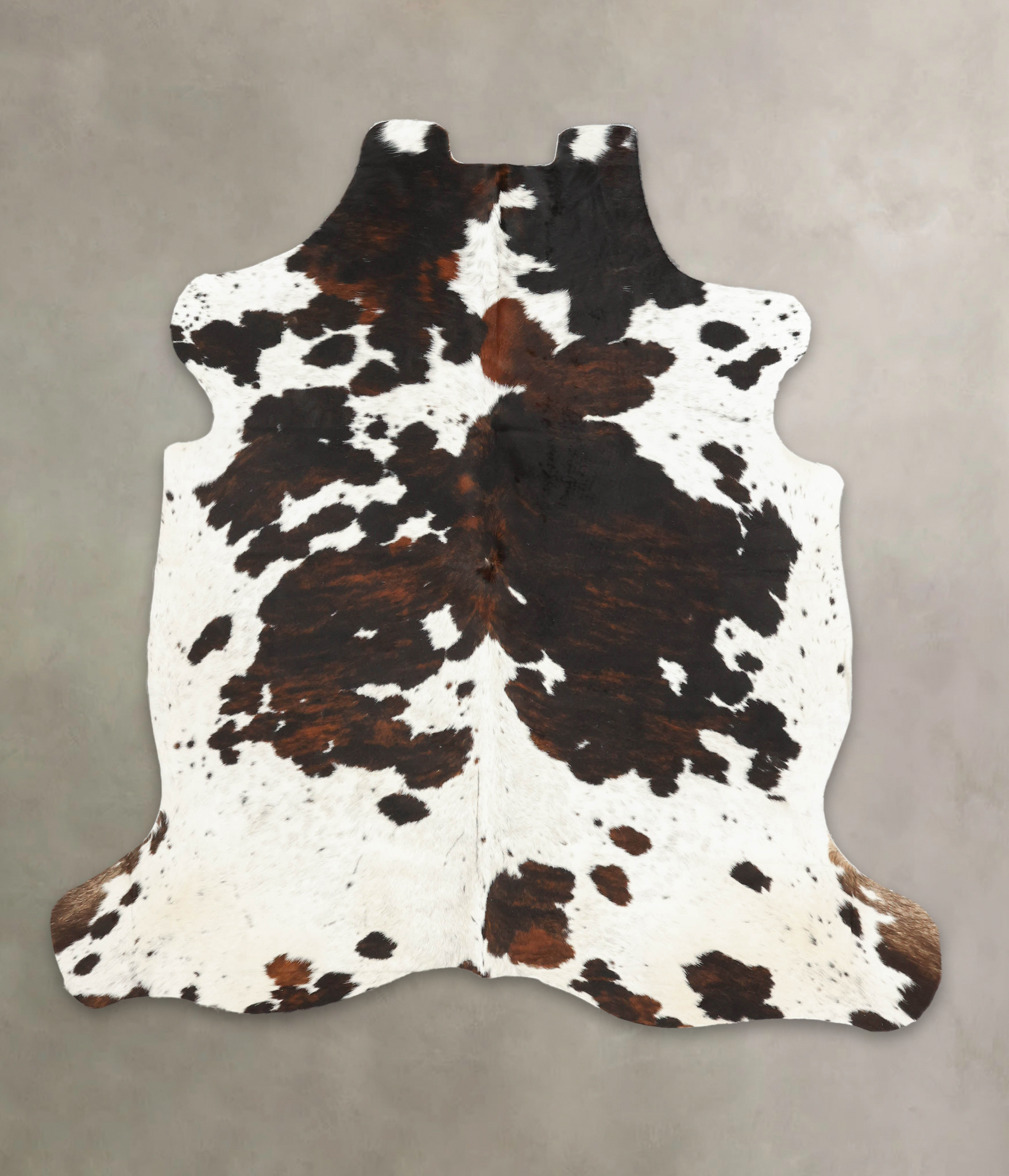 Tricolor Cowhide Rug #B5298