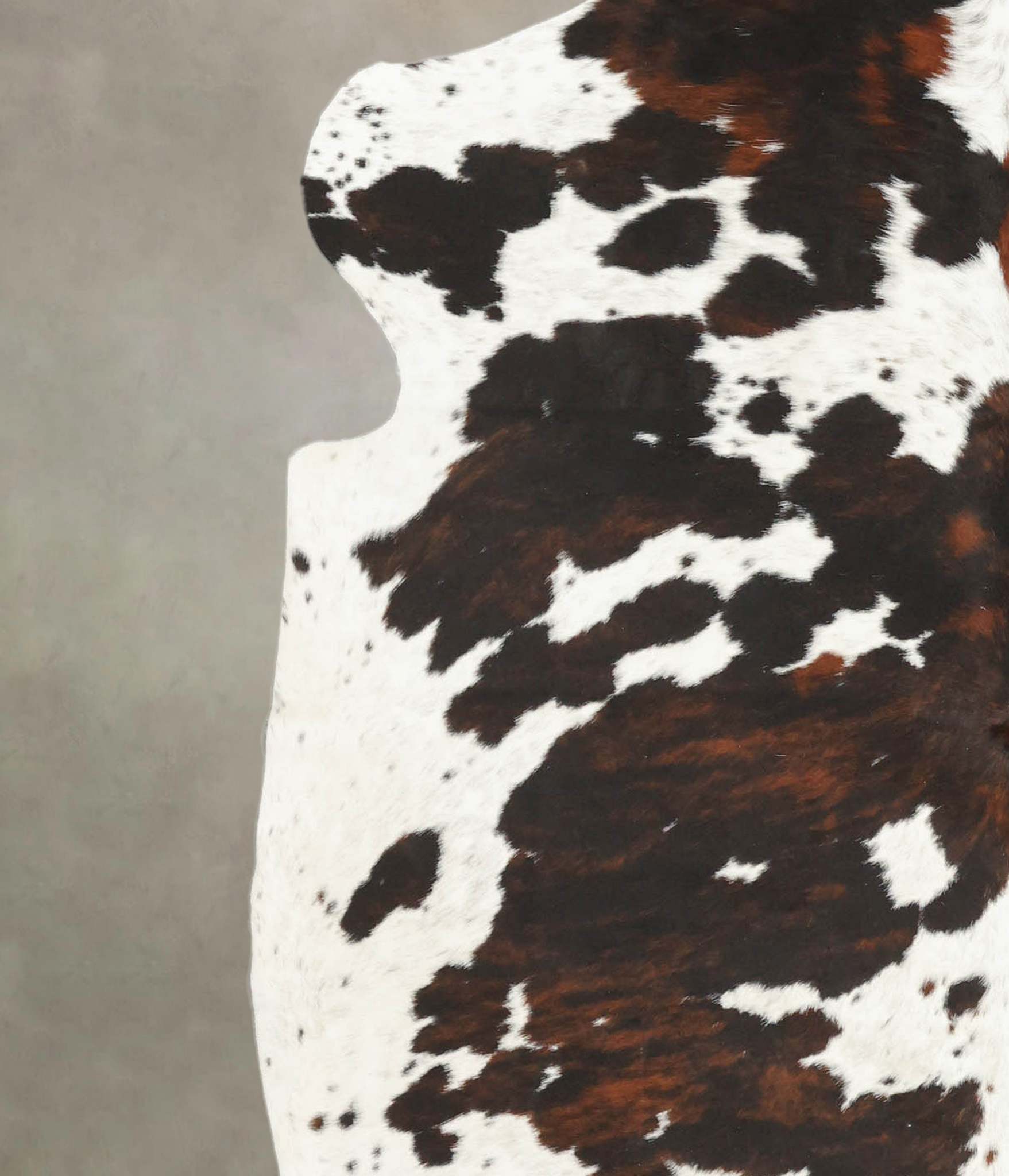 Tricolor Cowhide Rug #B5298