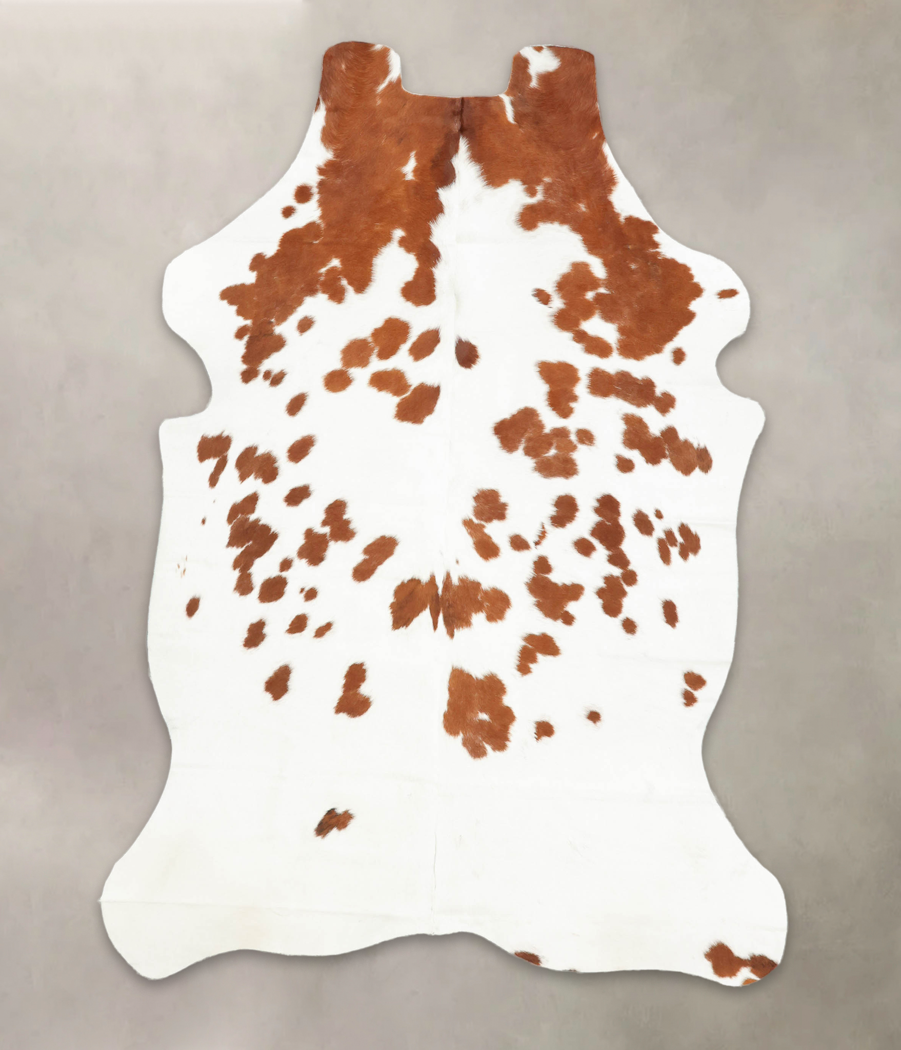 Brown and White Cowhide Rug #B5319