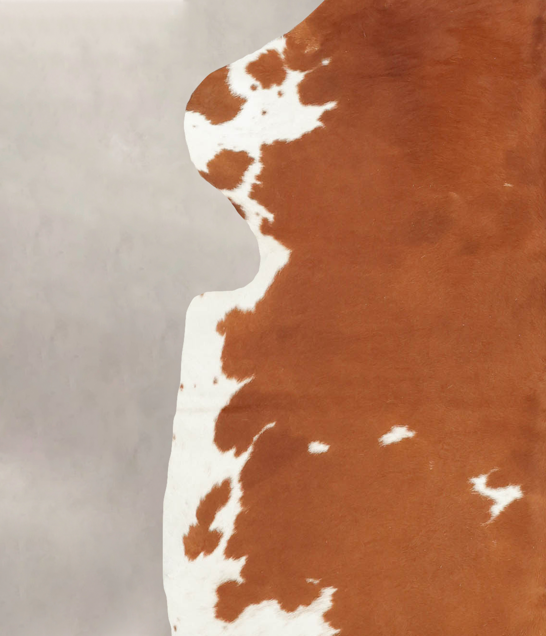 Brown and White Cowhide Rug #B5320