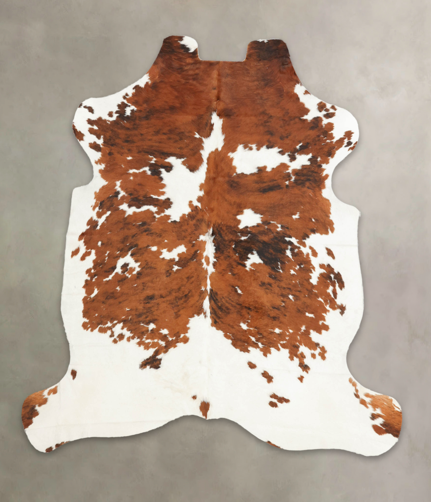 Tricolor Cowhide Rug #B5328