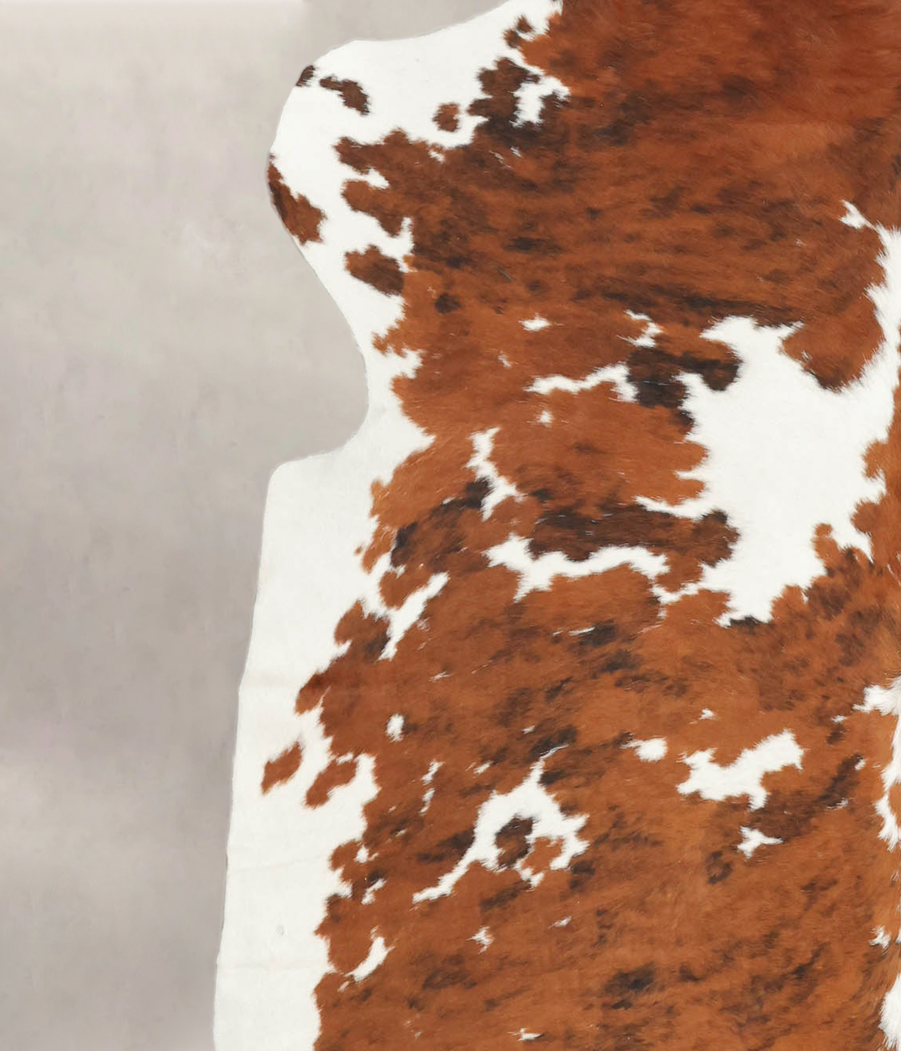 Tricolor Cowhide Rug #B5328