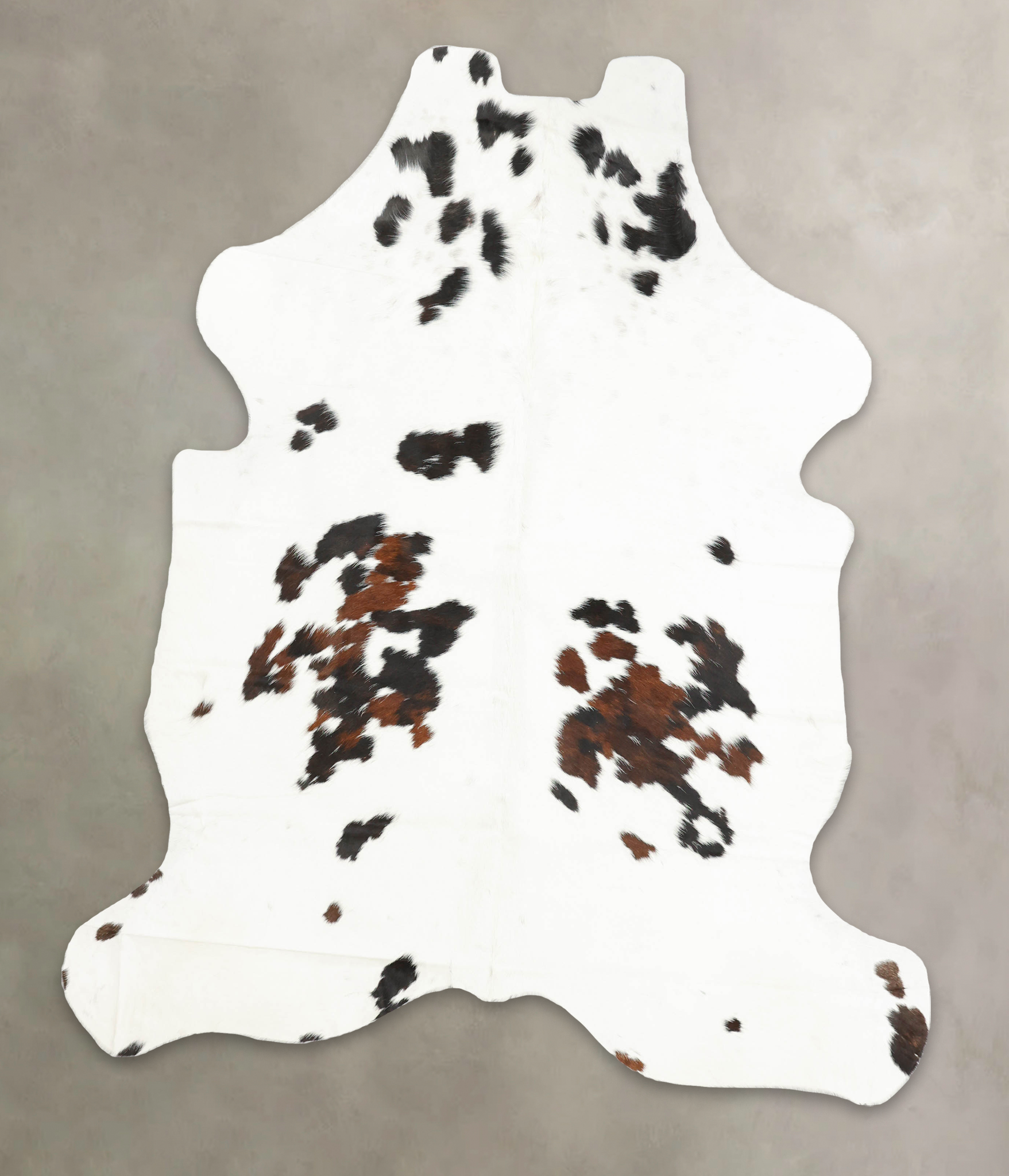 Tricolor Cowhide Rug #B5330