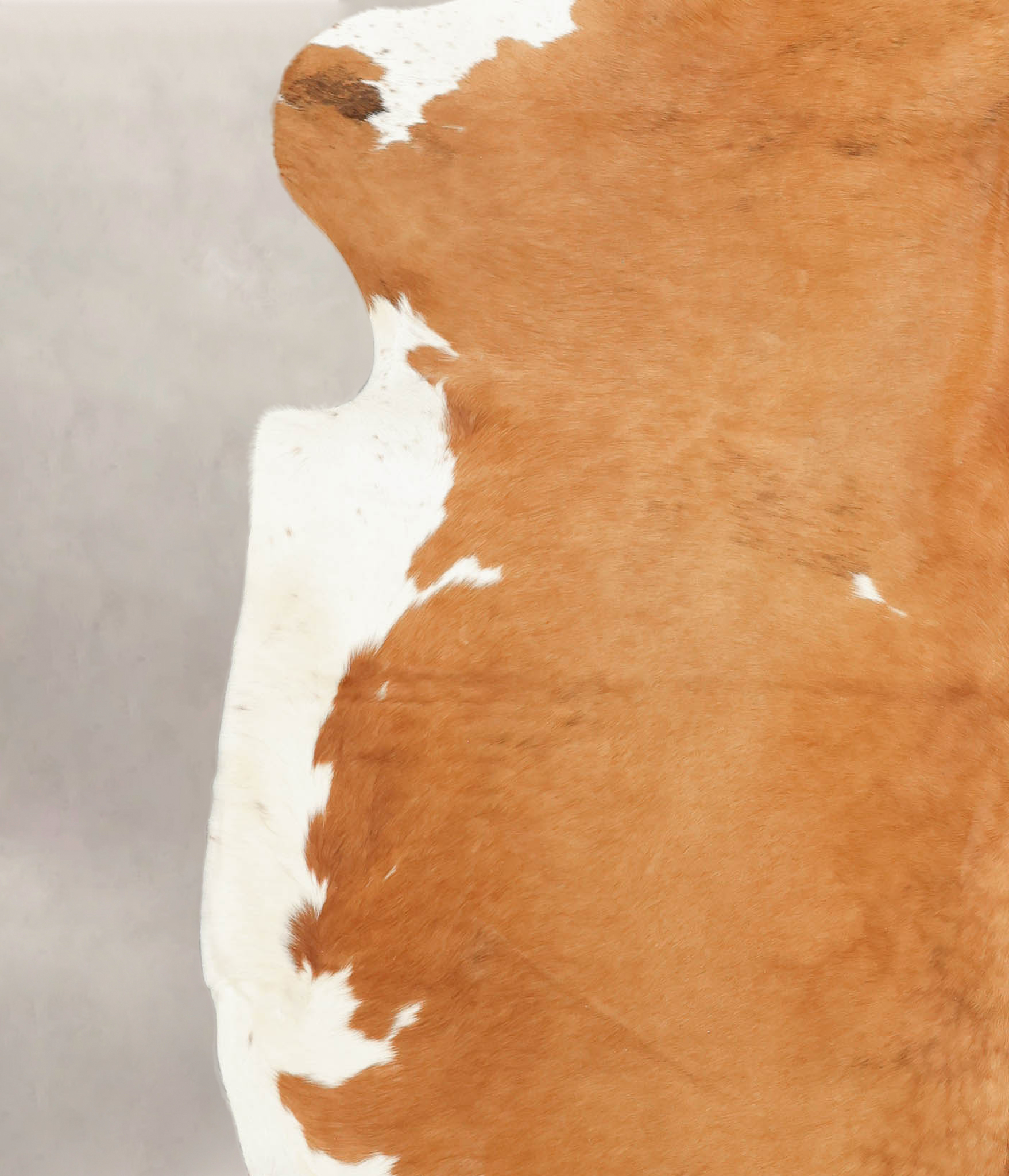 Brown and White Cowhide Rug #B5347