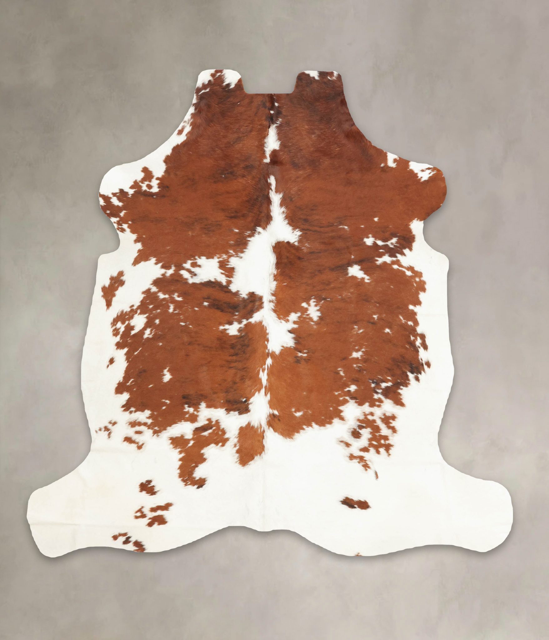 Tricolor Cowhide Rug #B5350