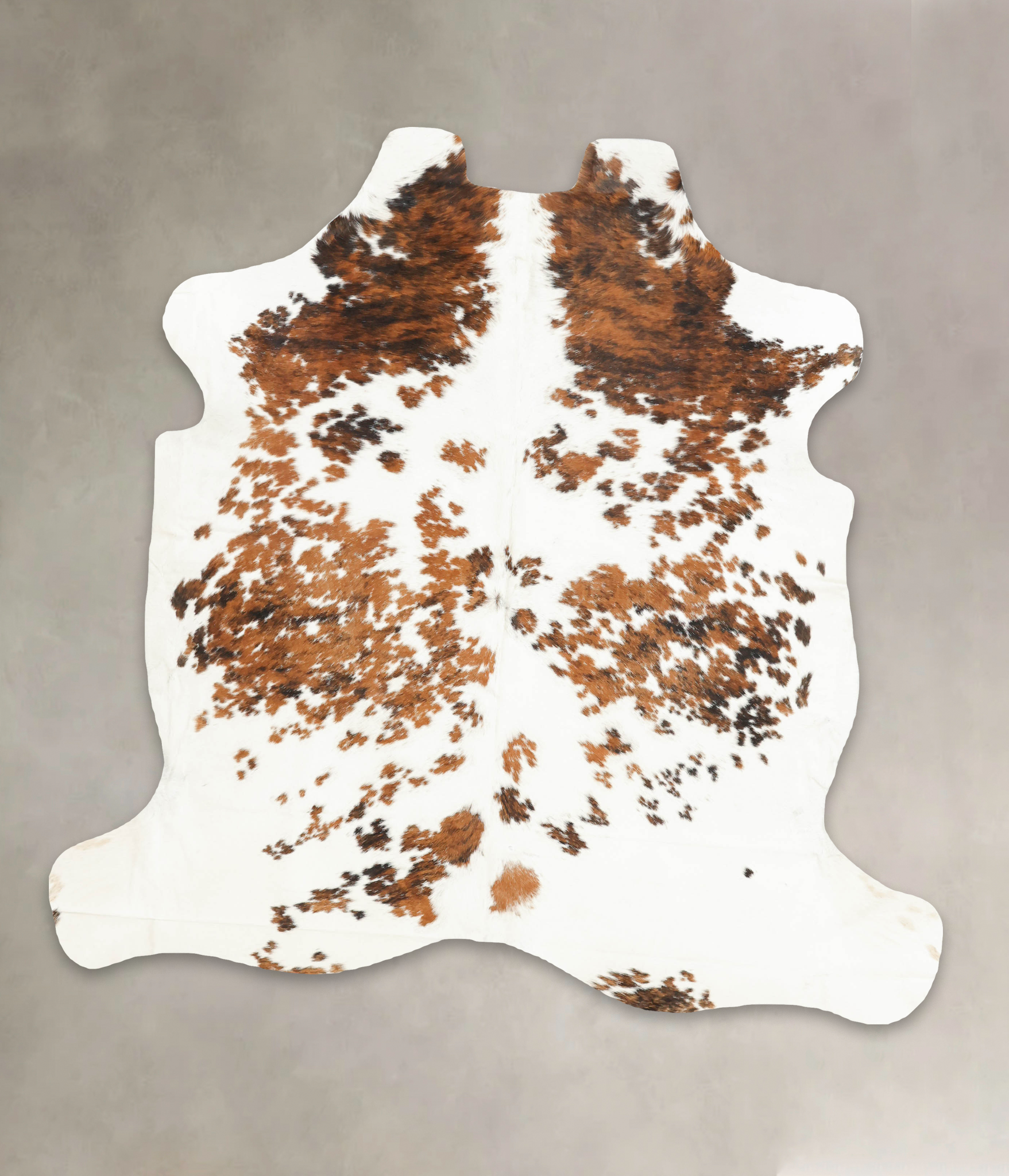 Tricolor Cowhide Rug #B5351