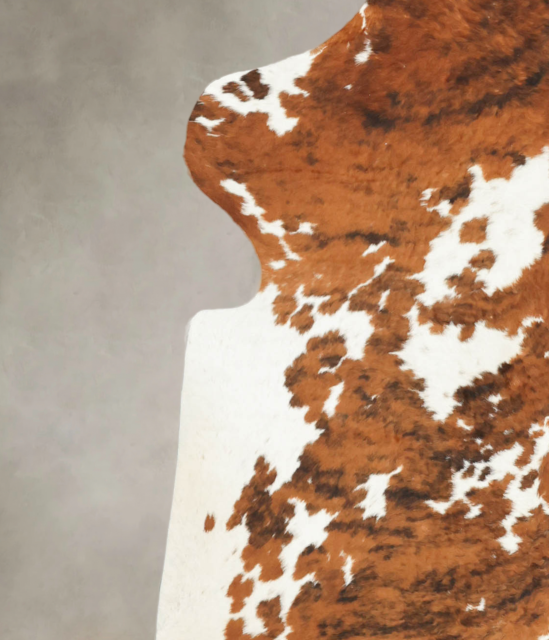 Tricolor Cowhide Rug #B5356