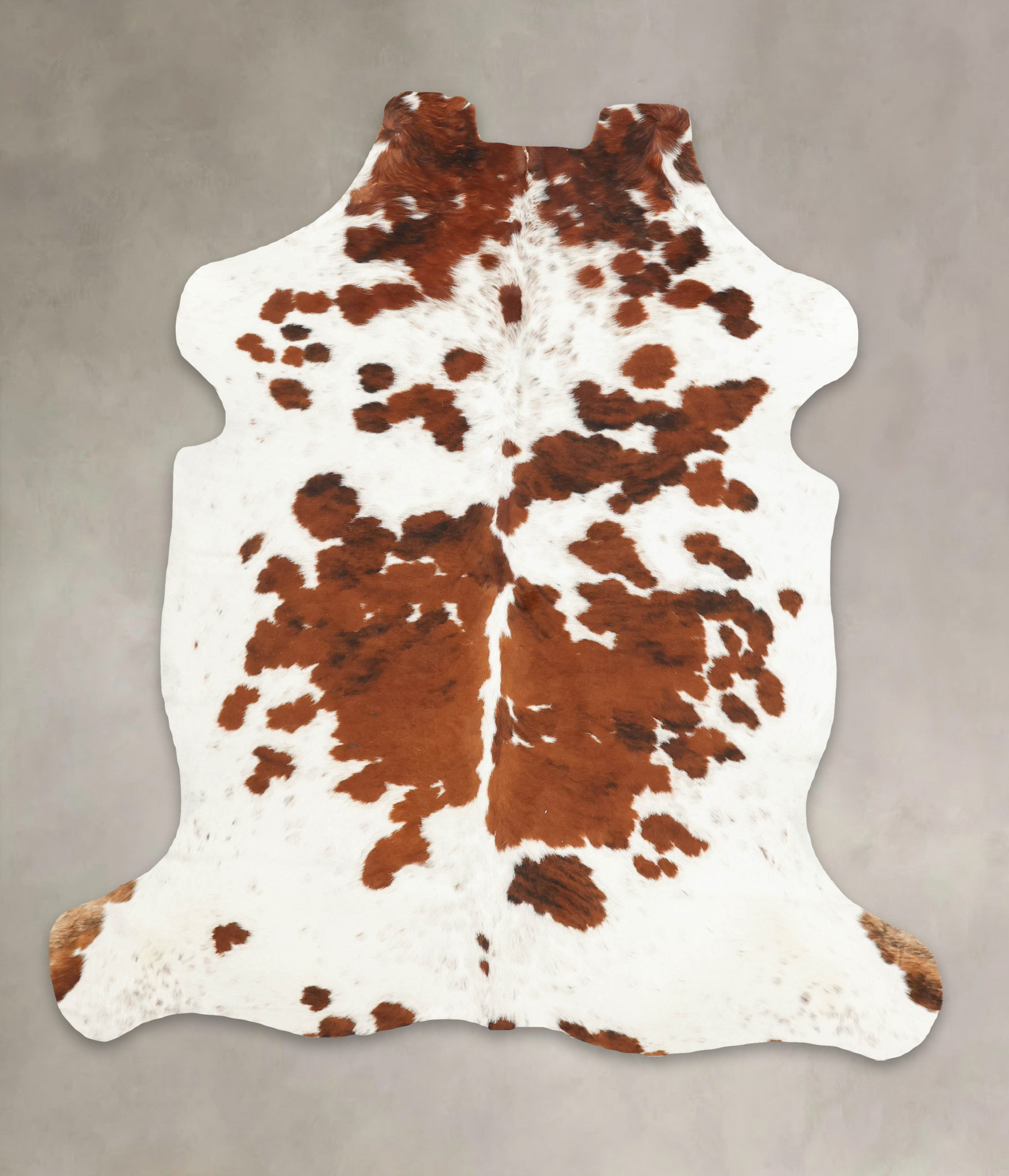 Tricolor Cowhide Rug #B5358