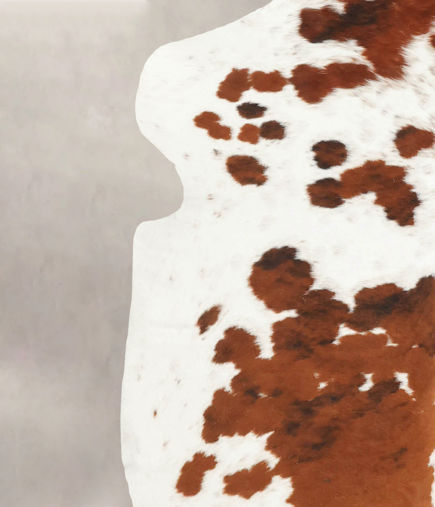 Tricolor Cowhide Rug #B5358