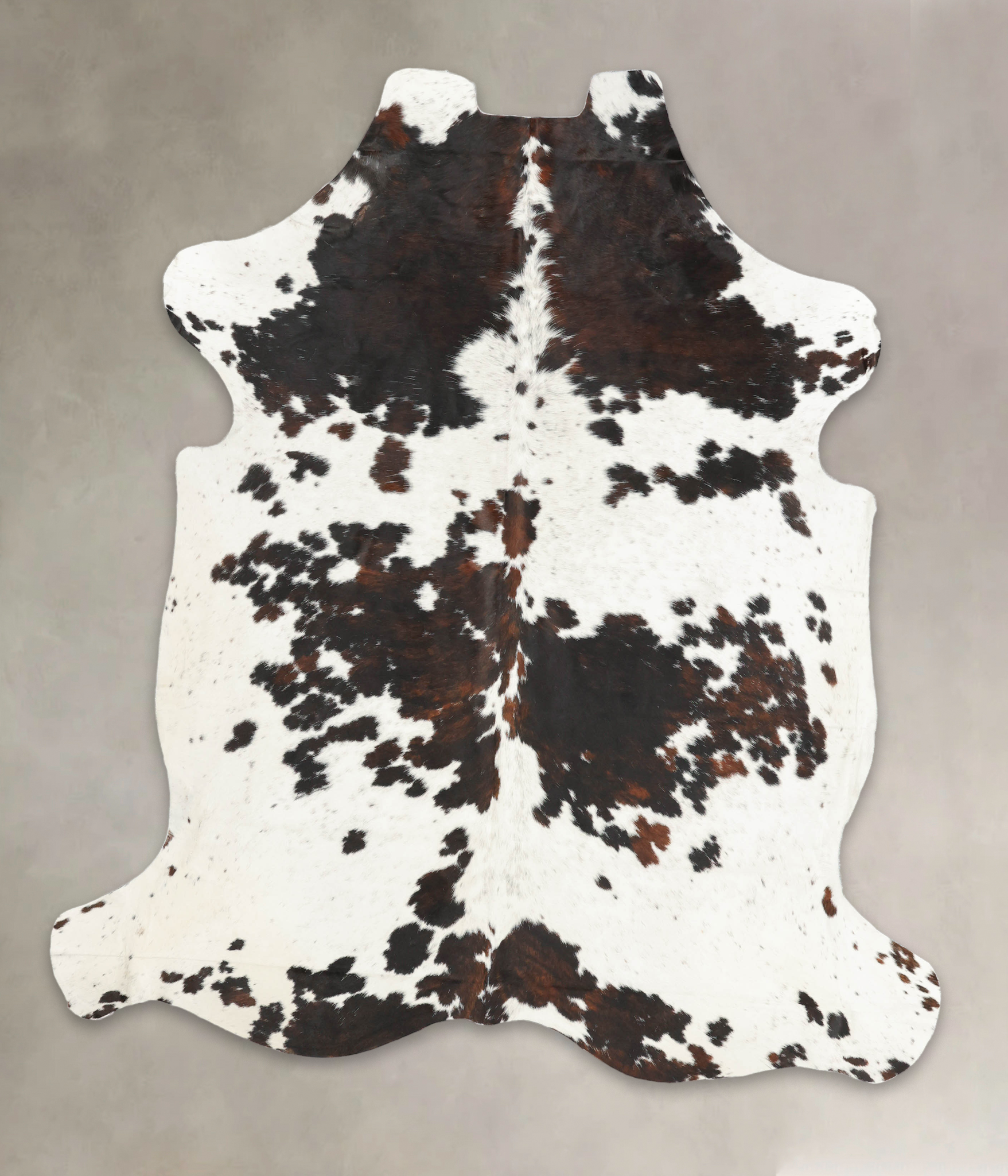 Tricolor Cowhide Rug #B5362