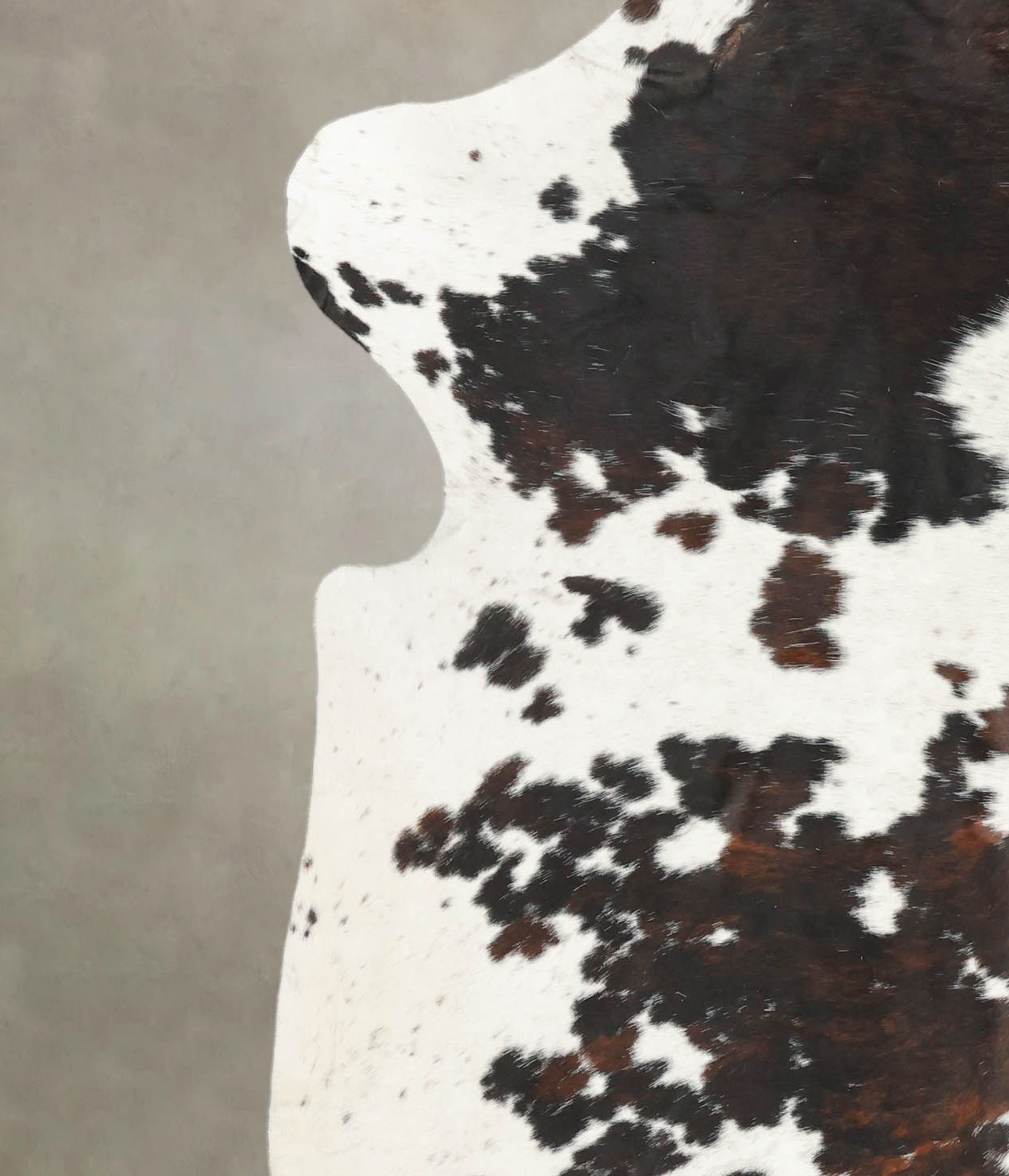 Tricolor Cowhide Rug #B5362