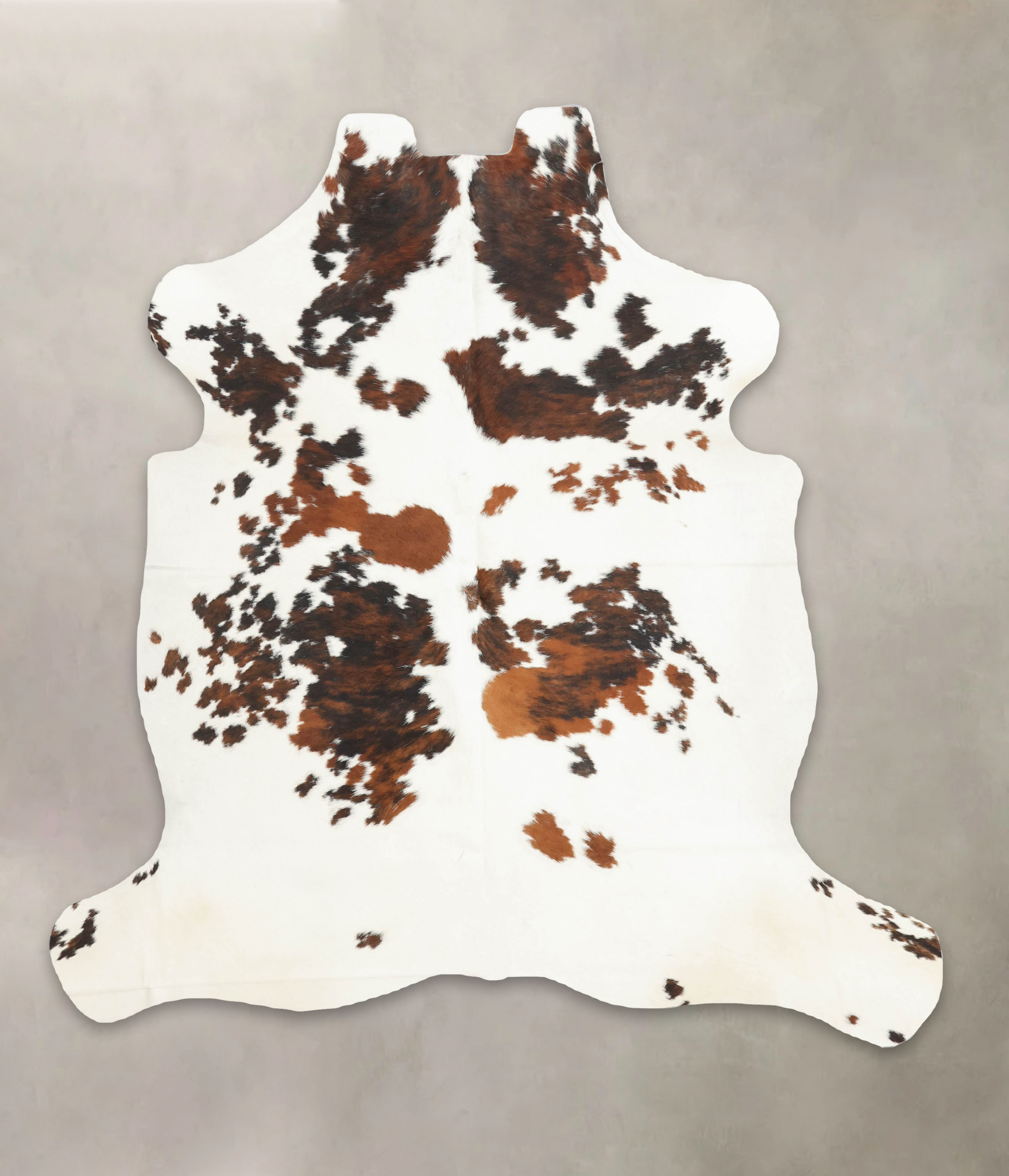 Tricolor Cowhide Rug #B5367