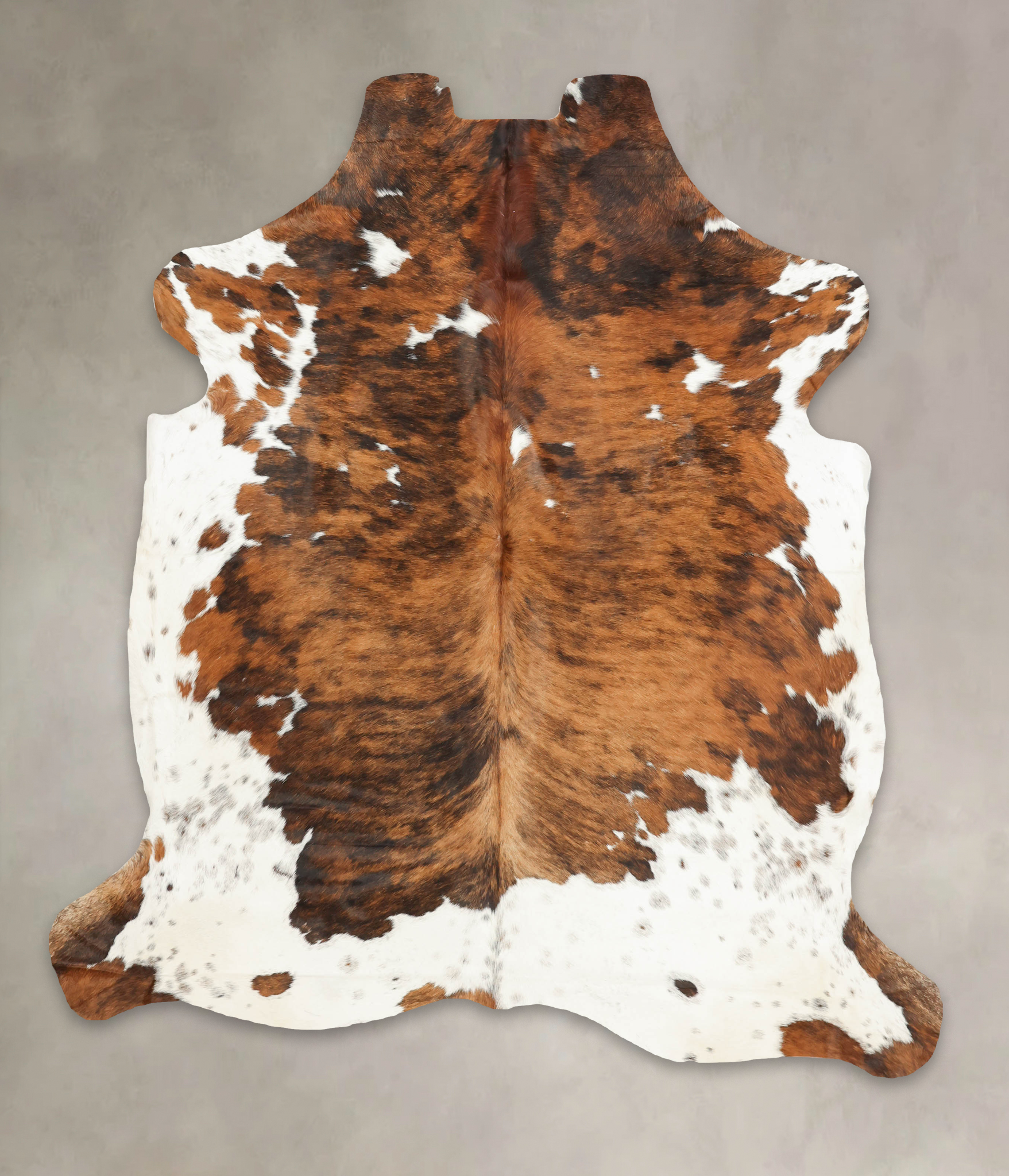 Tricolor Cowhide Rug #B5371