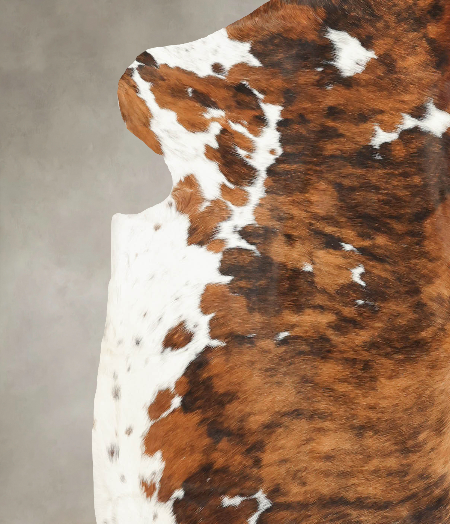 Tricolor Cowhide Rug #B5371