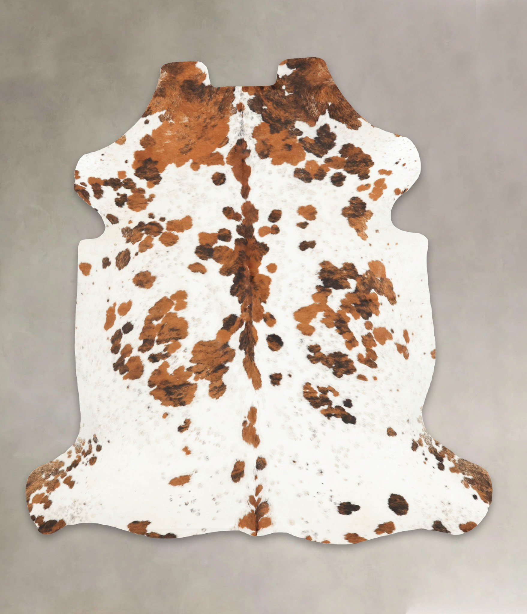 Tricolor Cowhide Rug #B5378