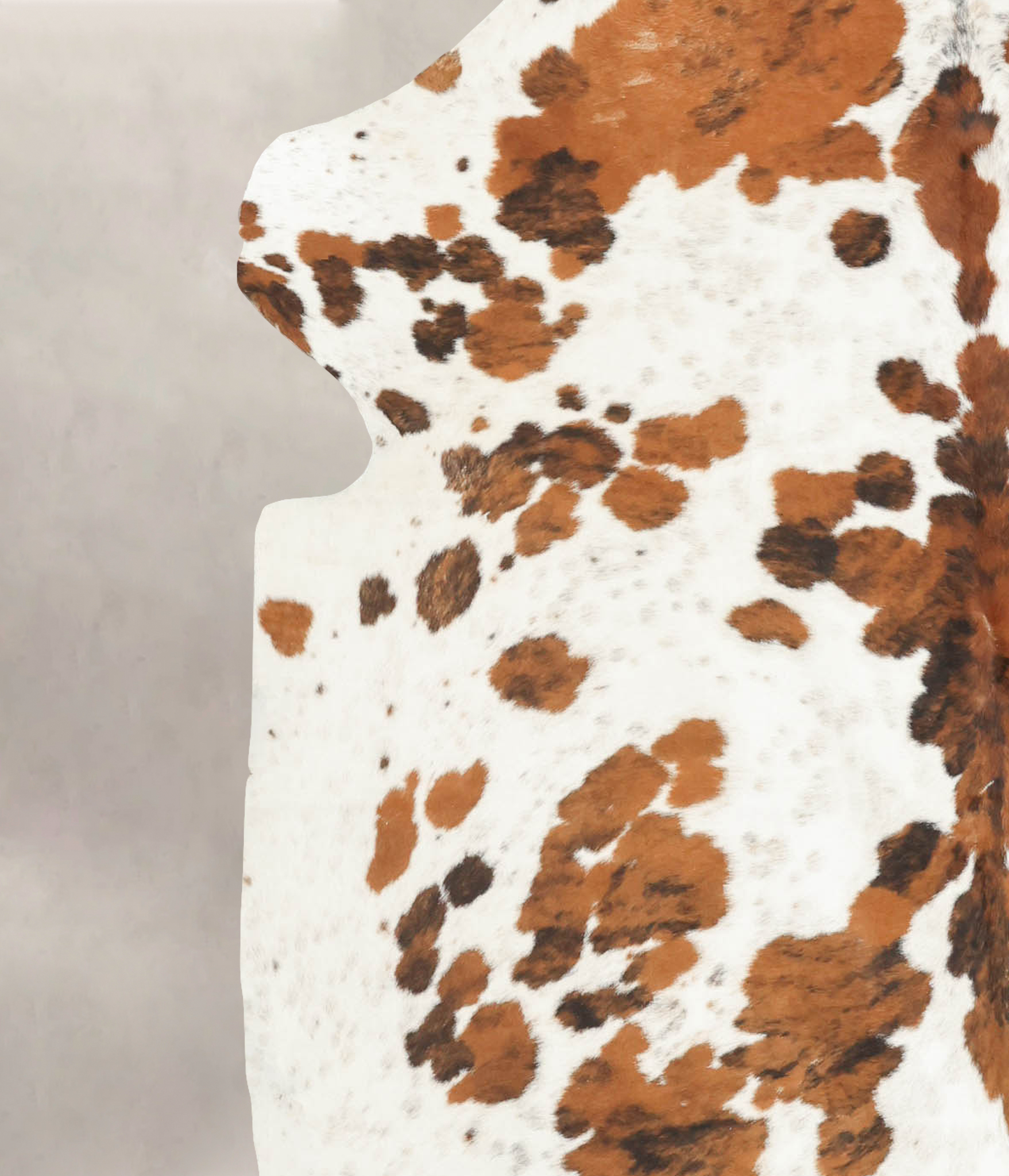 Tricolor Cowhide Rug #B5378