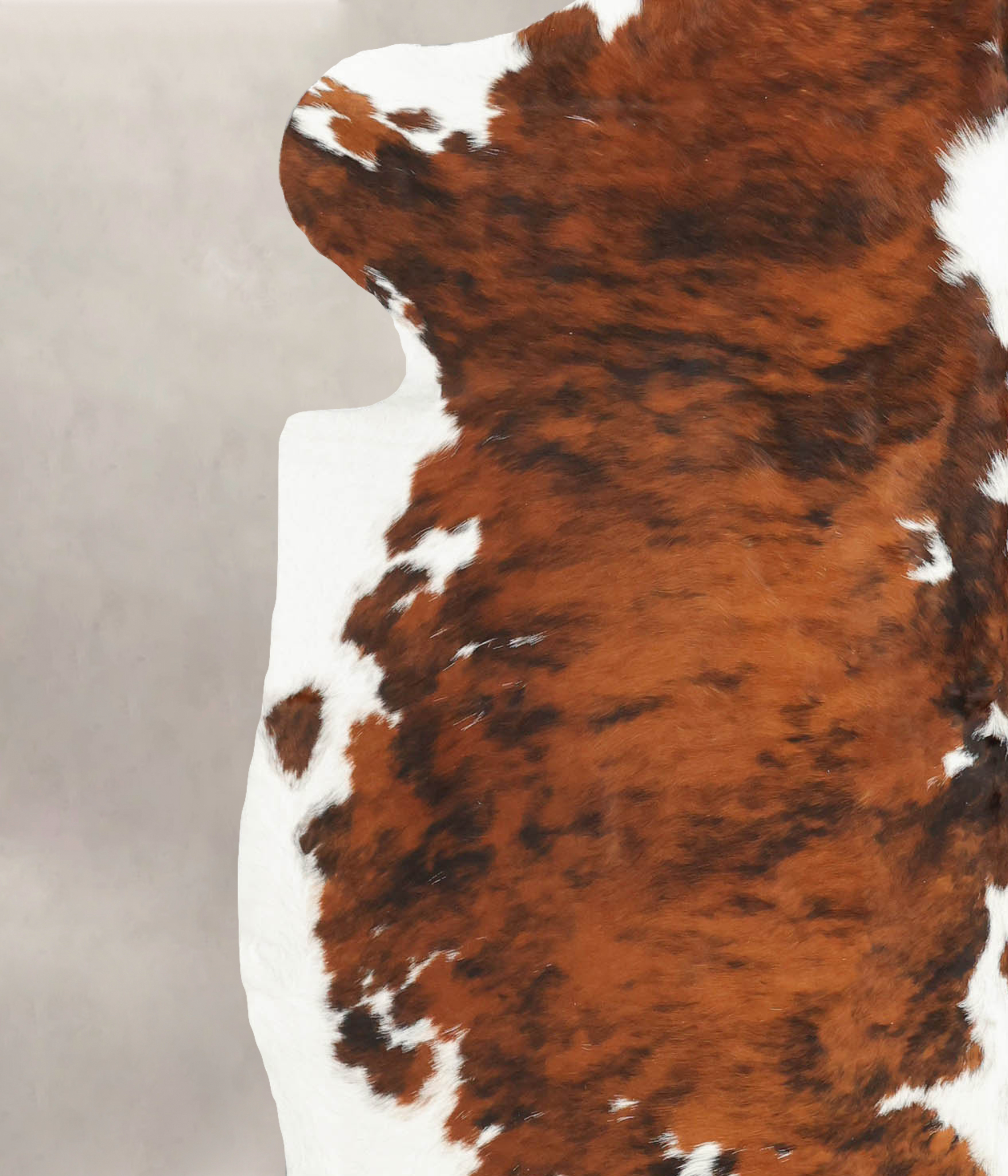 Tricolor Cowhide Rug #B5379