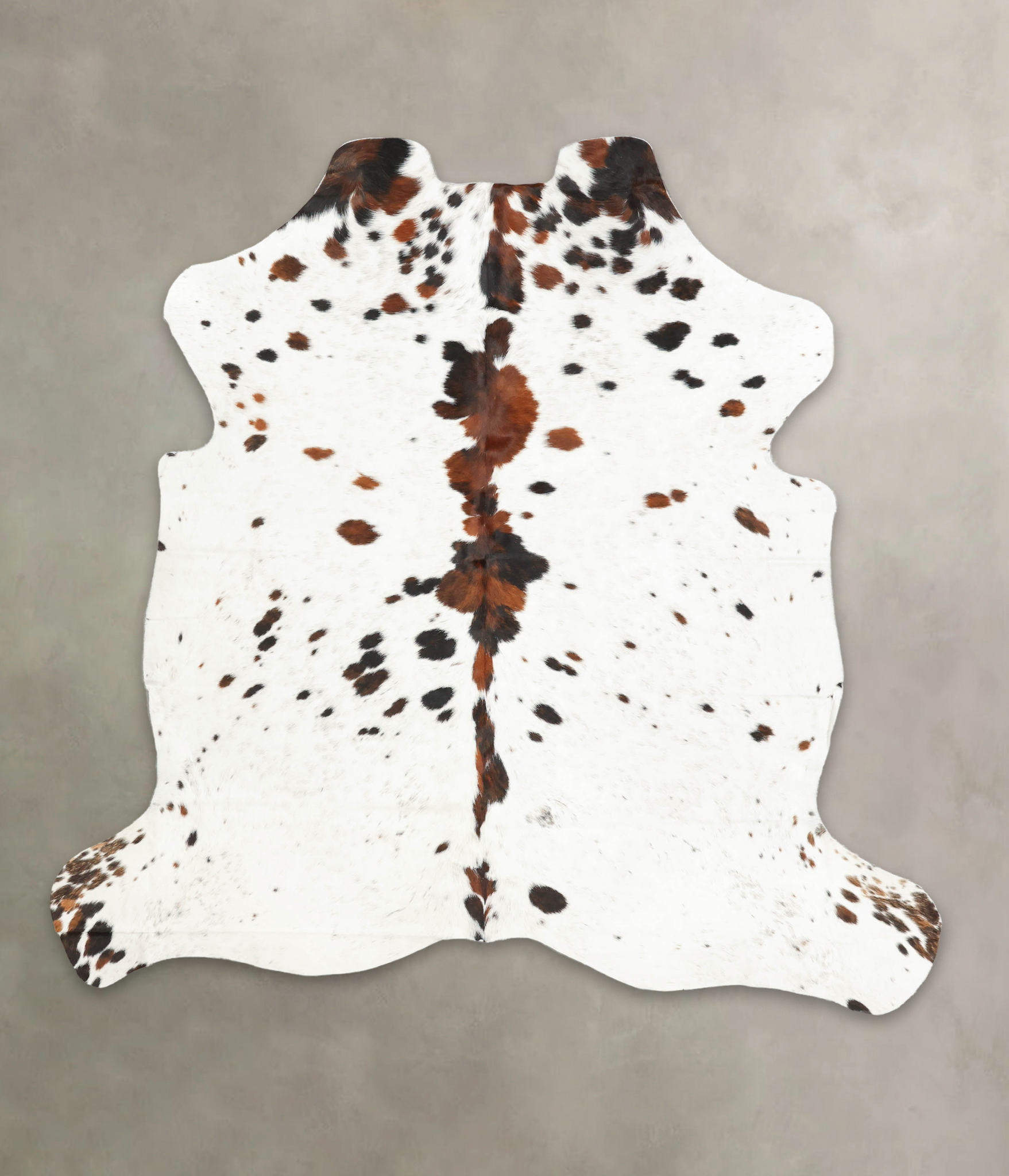 Tricolor Cowhide Rug #B5381