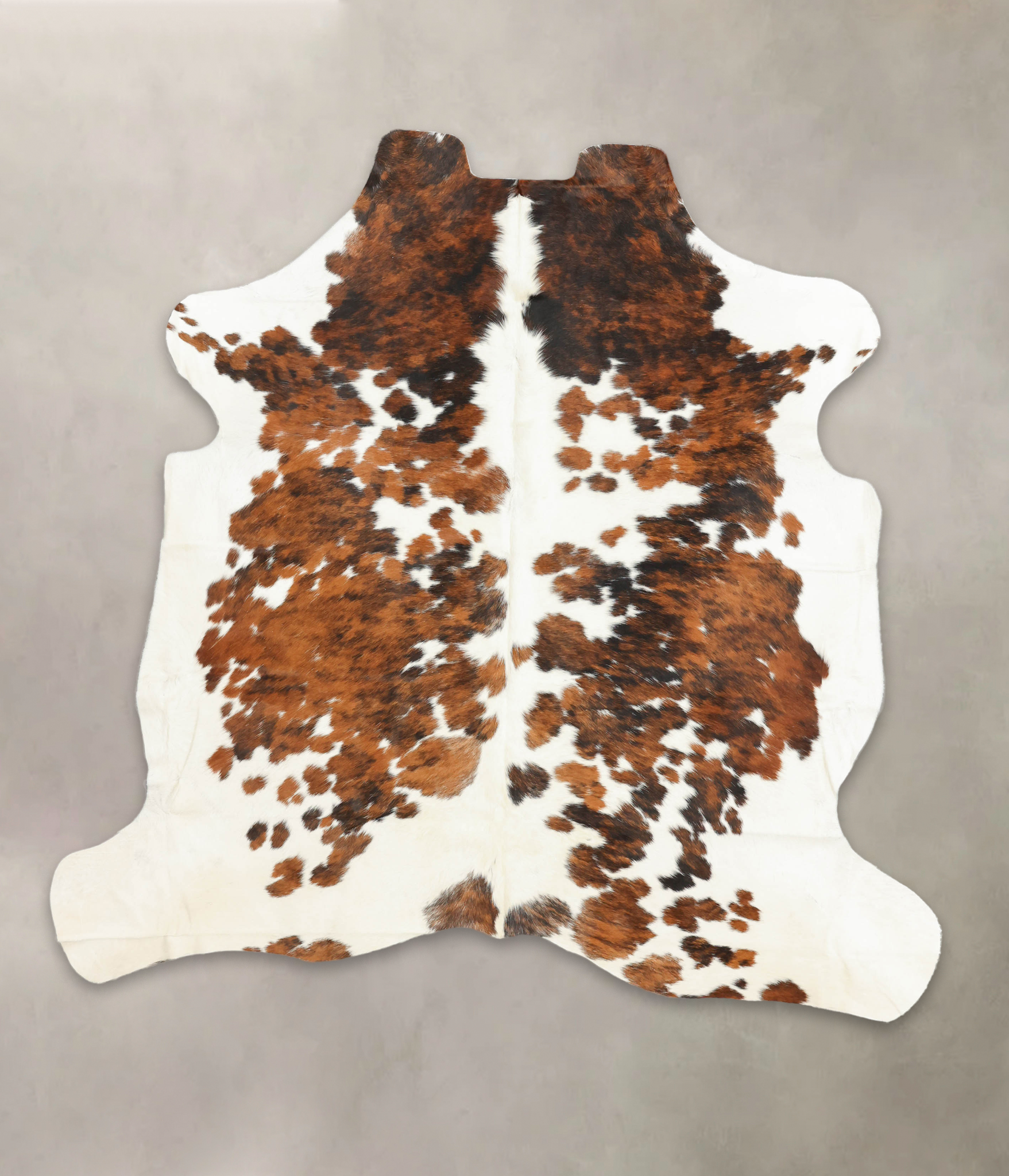 Tricolor Cowhide Rug #B5382