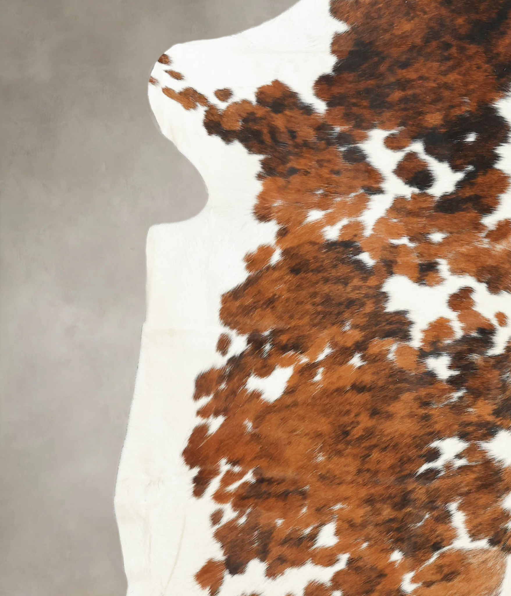 Tricolor Cowhide Rug #B5382