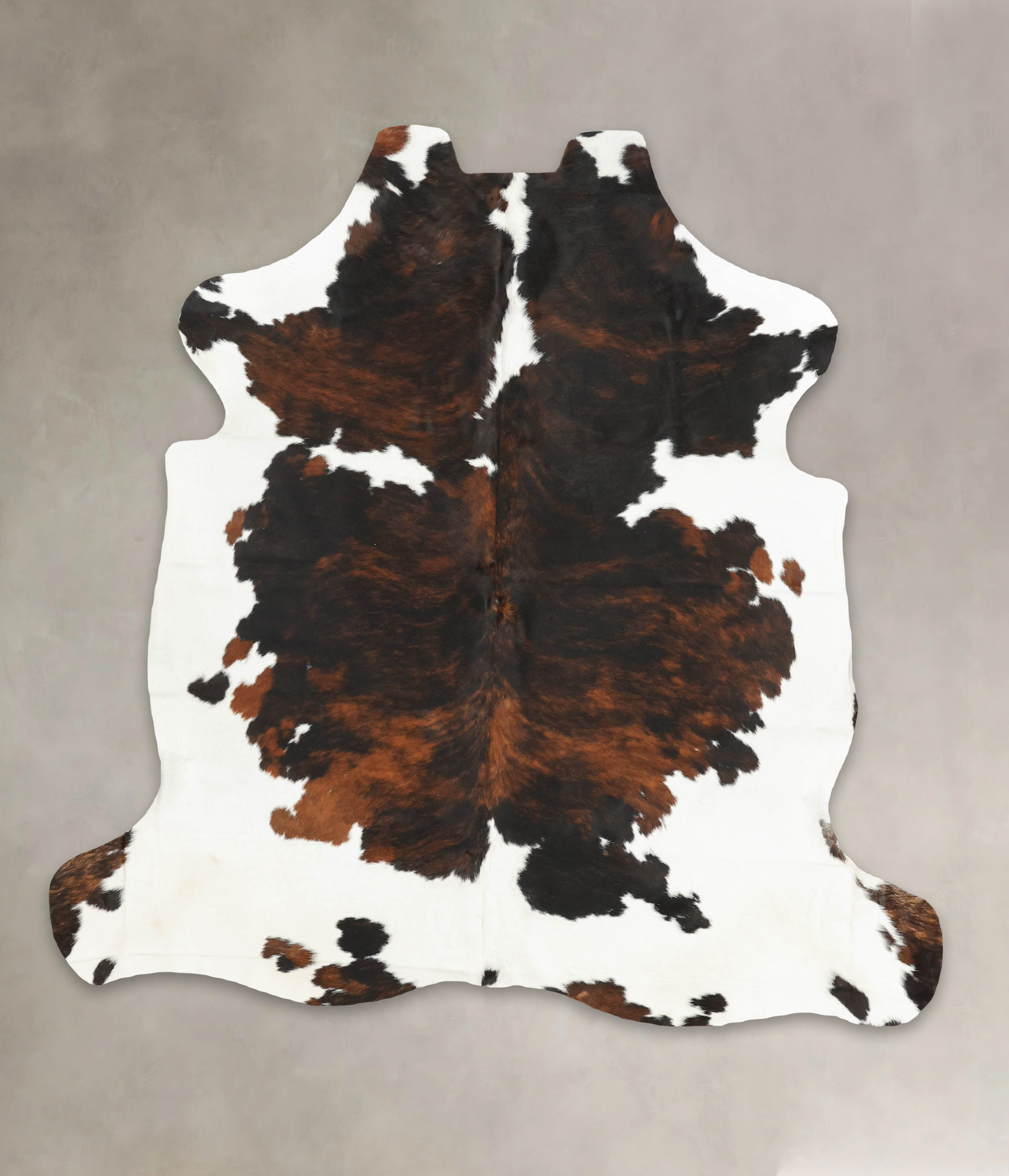 Tricolor Cowhide Rug #B5385