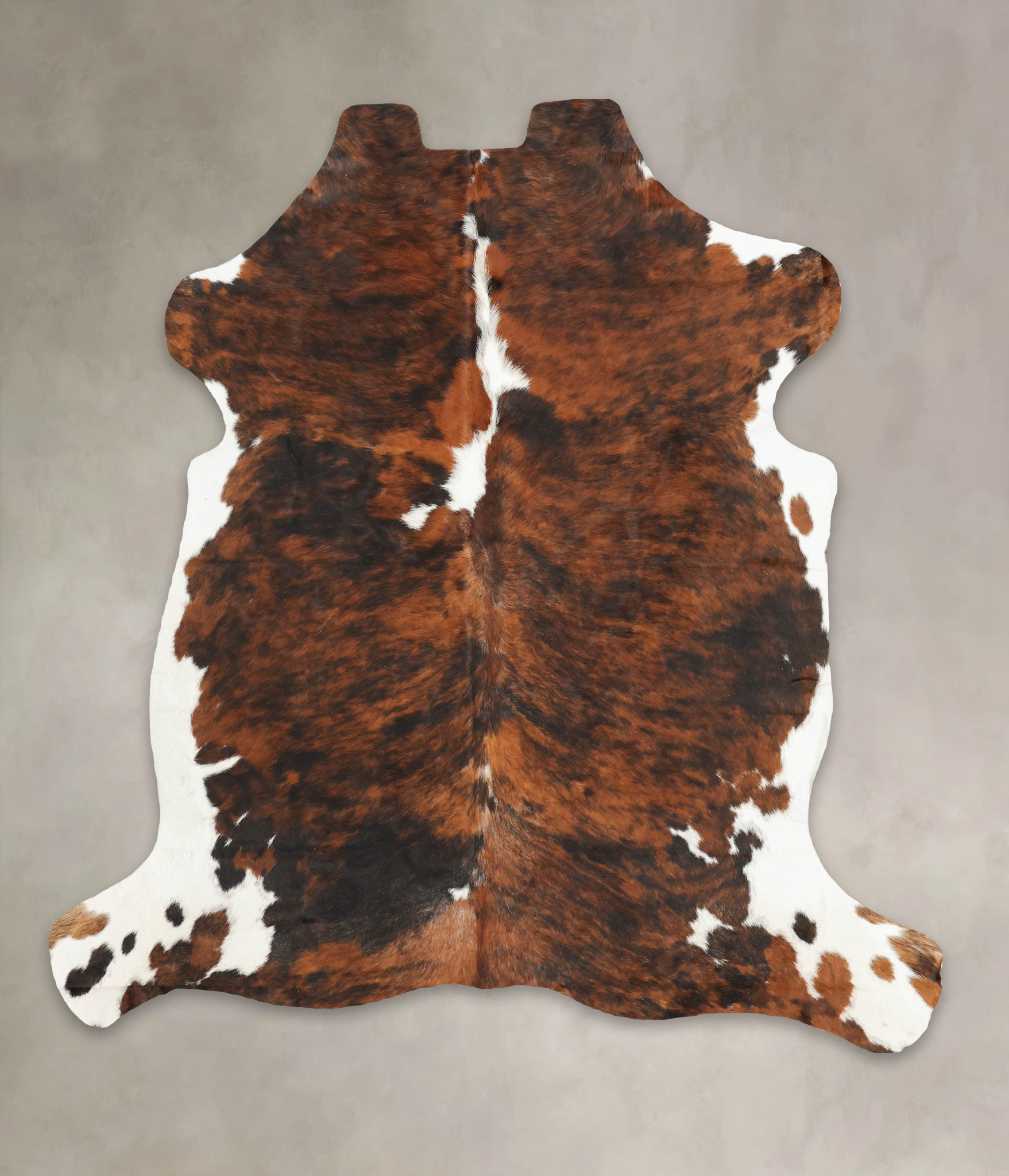 Tricolor Cowhide Rug #B5395