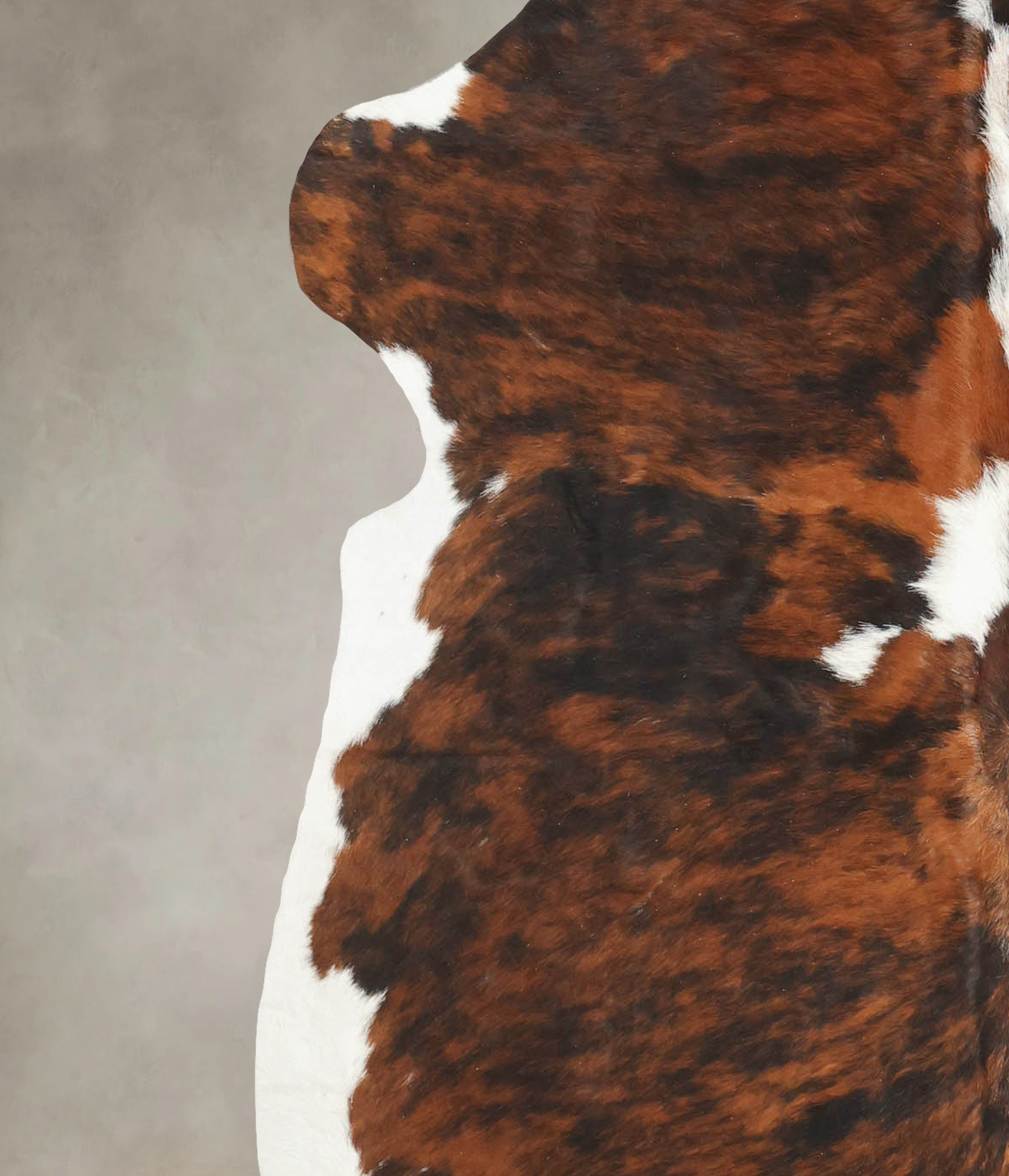 Tricolor Cowhide Rug #B5395