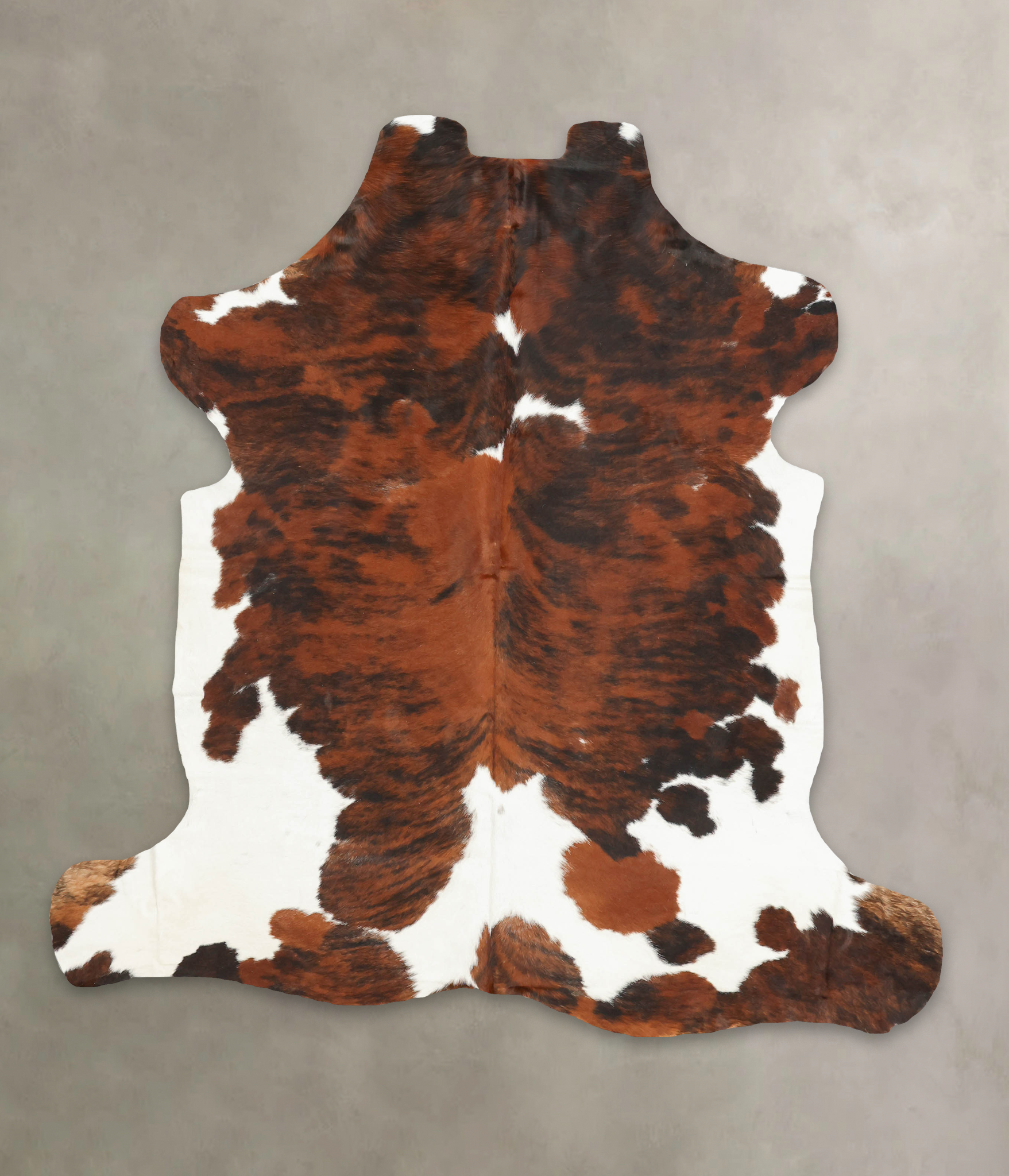 Tricolor Cowhide Rug #B5399