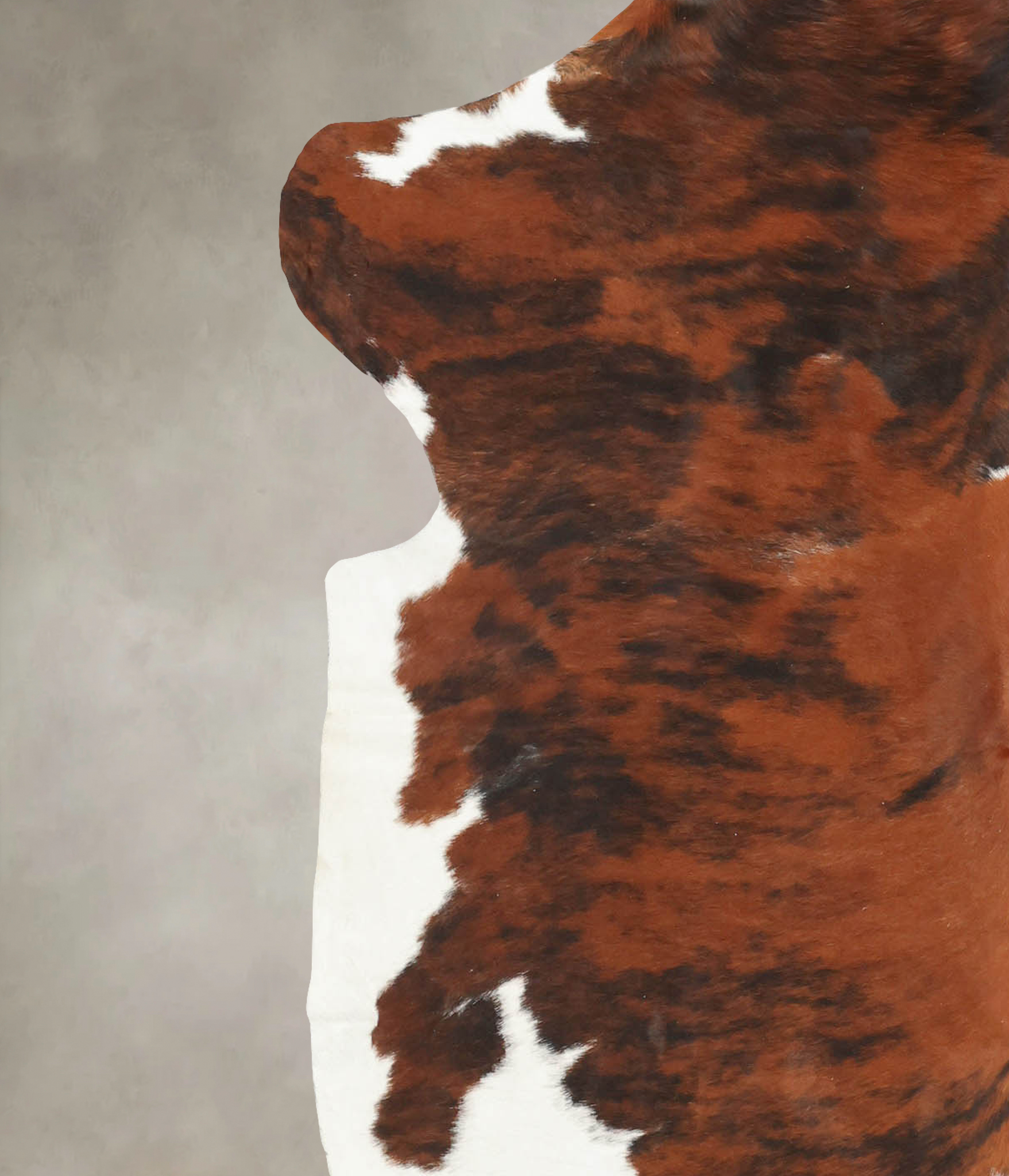 Tricolor Cowhide Rug #B5399