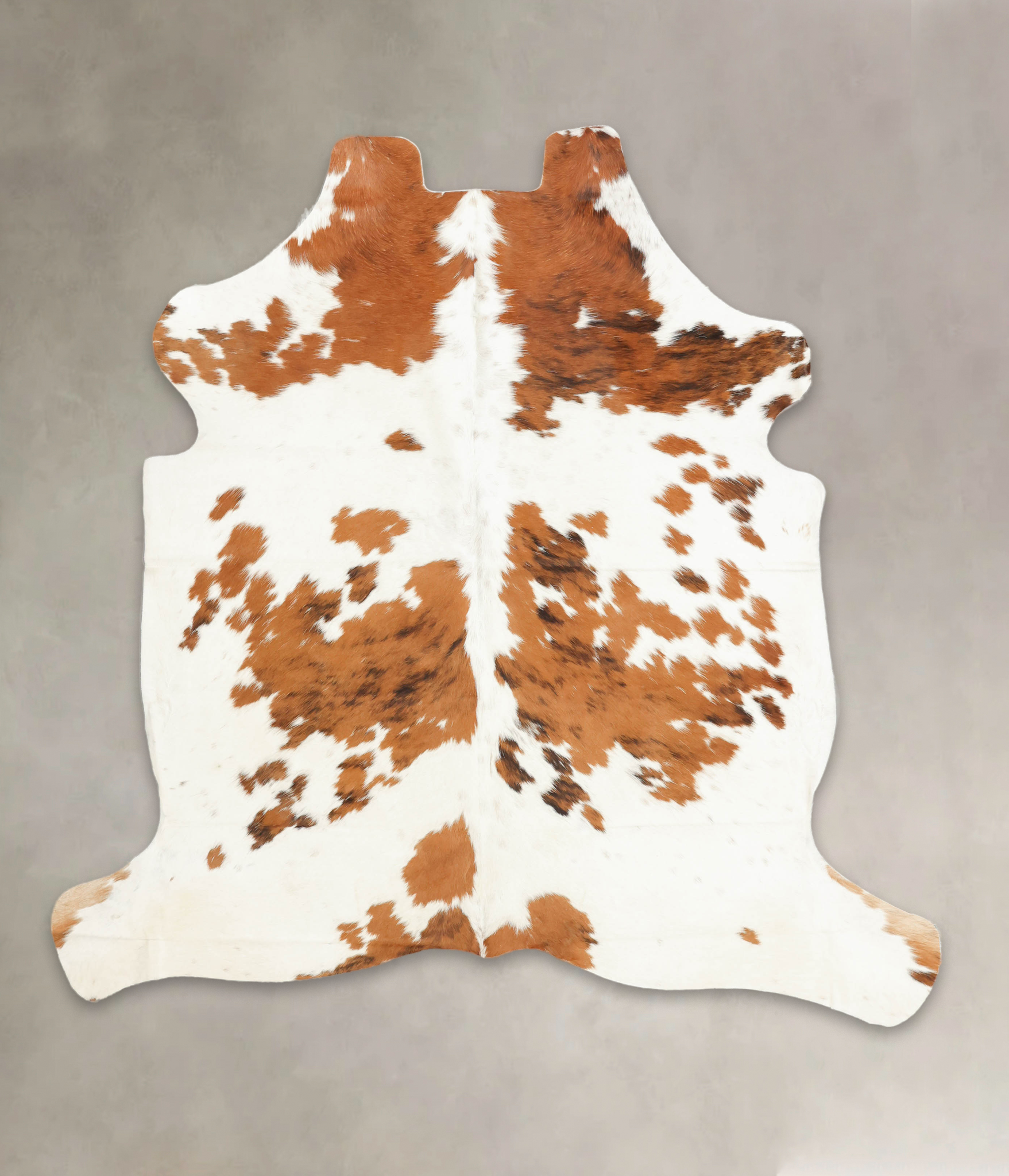 Tricolor Cowhide Rug #B5407