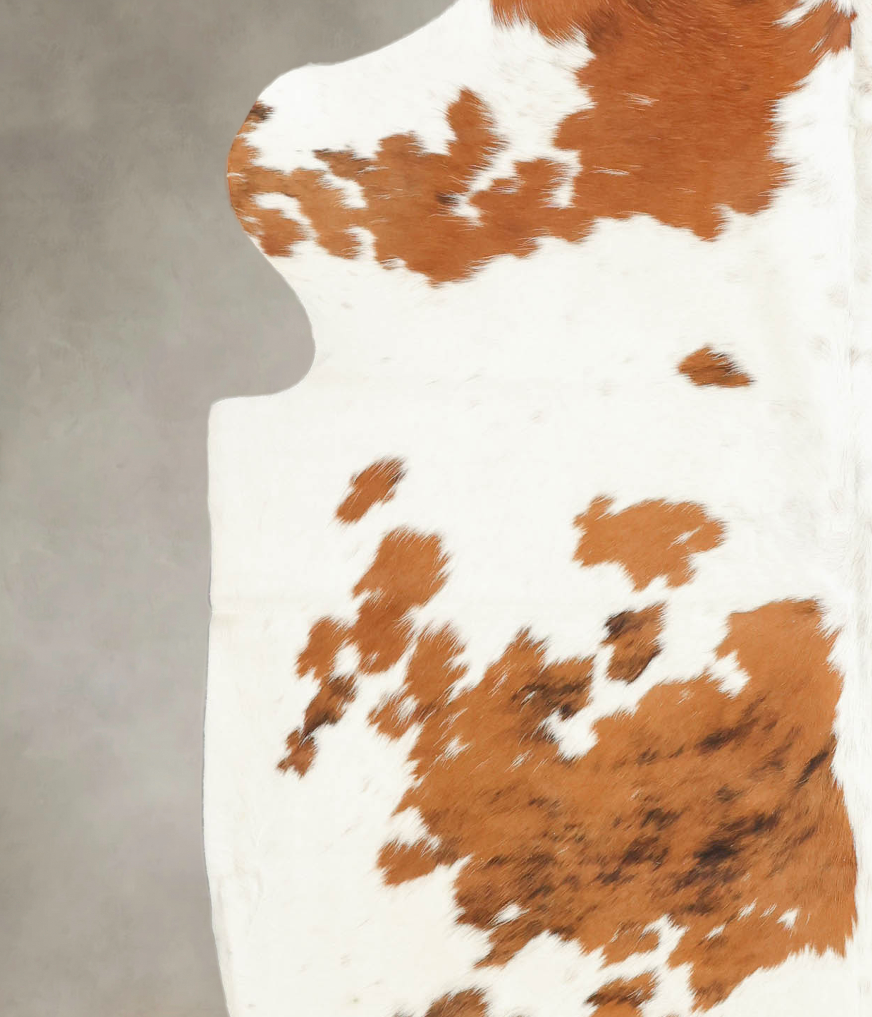 Tricolor Cowhide Rug #B5407