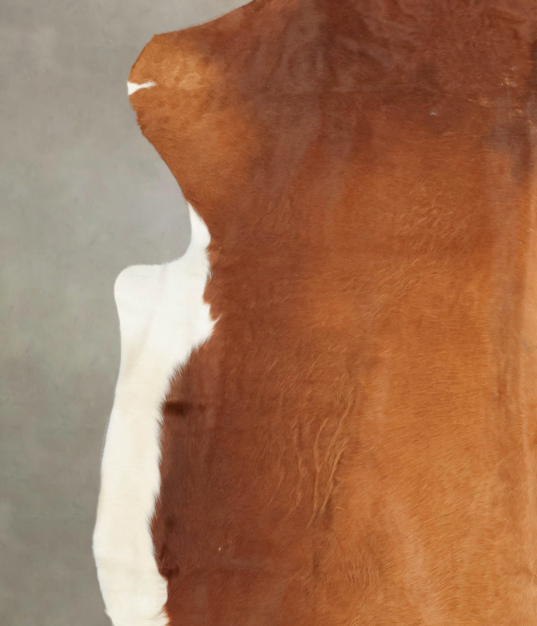 Brown and White Cowhide Rug #B5414