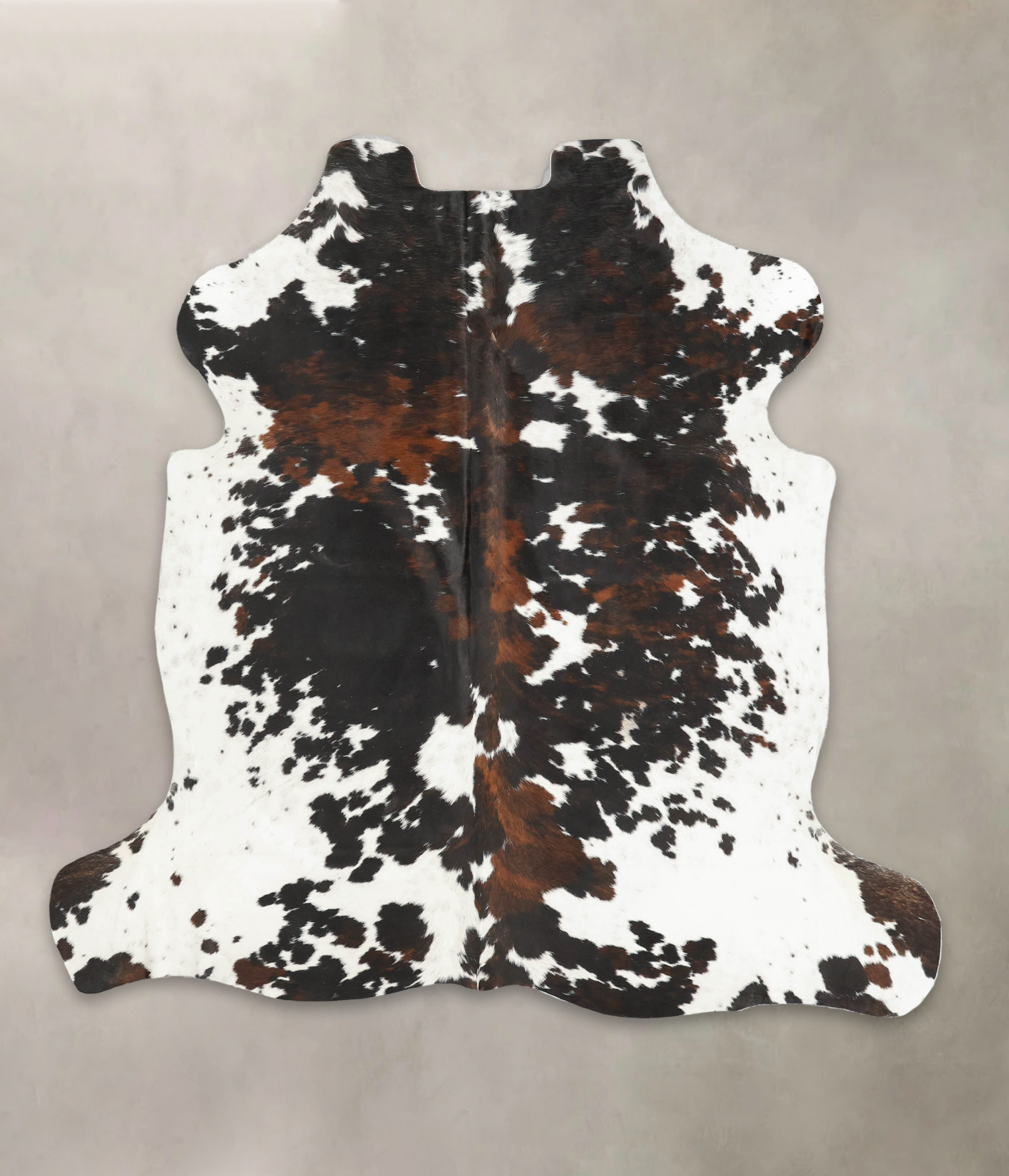 Tricolor Cowhide Rug #B5421