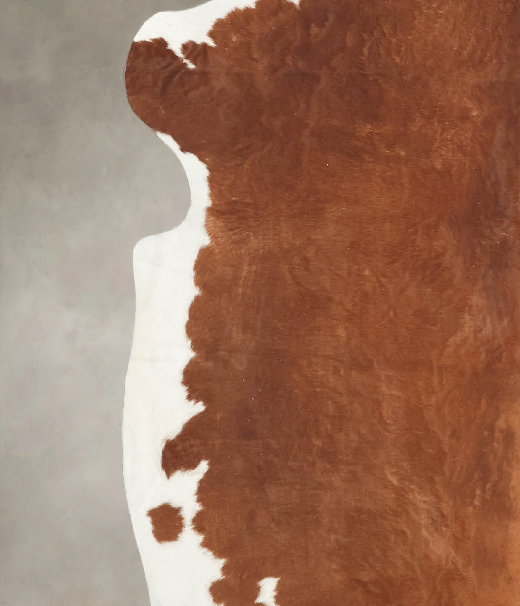 Brown and White Cowhide Rug #B5429