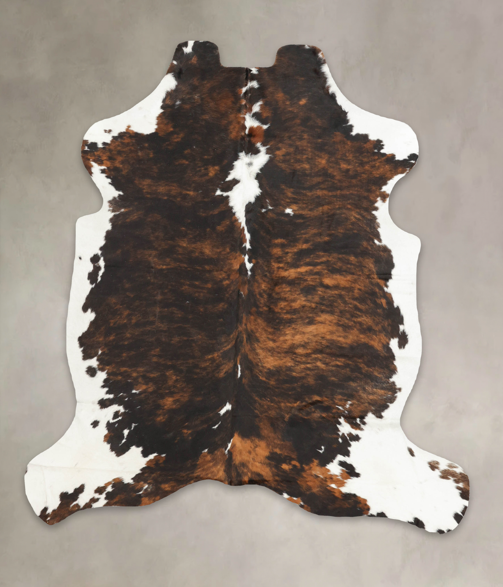 Tricolor Cowhide Rug #B5435