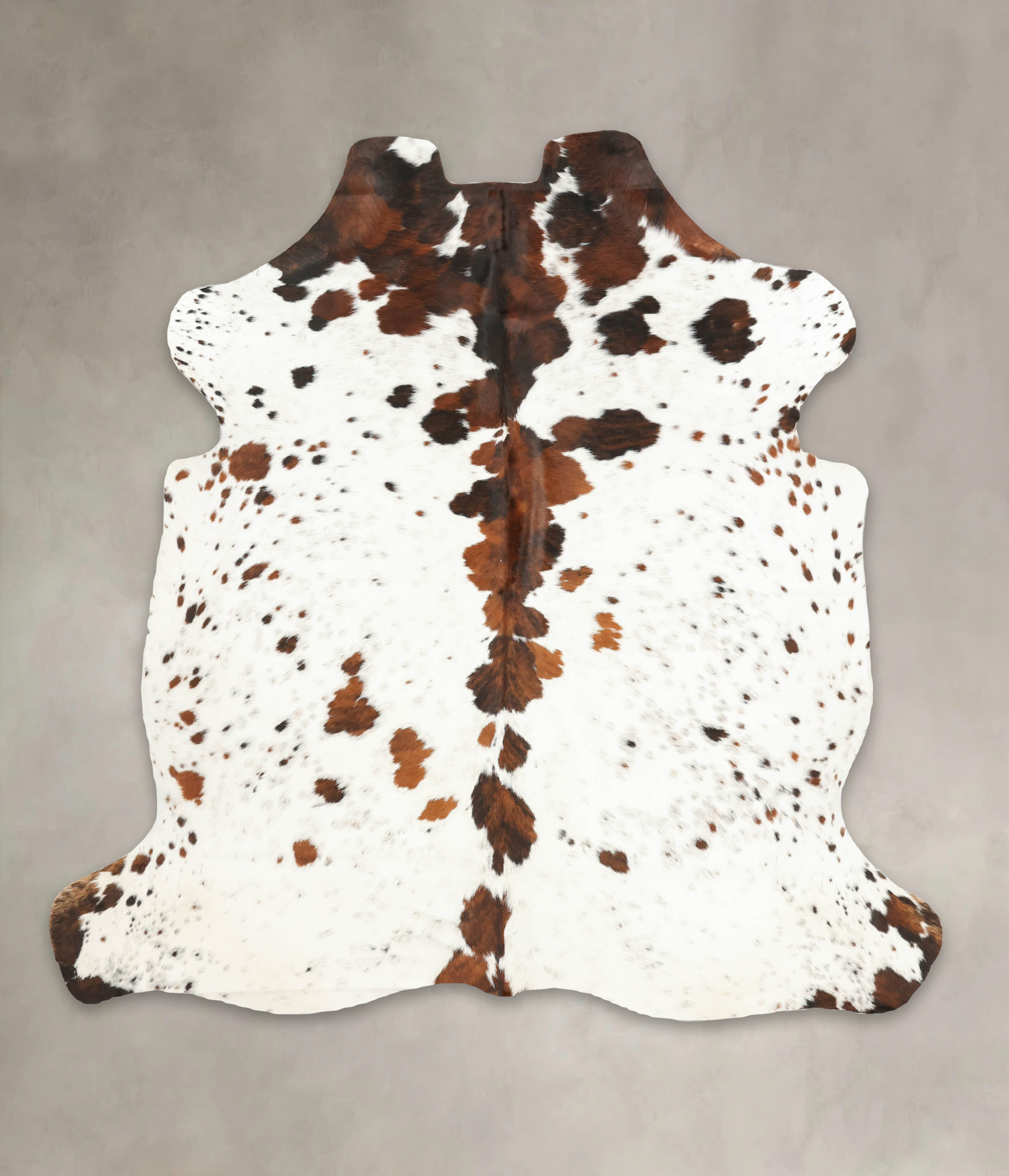 Tricolor Cowhide Rug #B5453