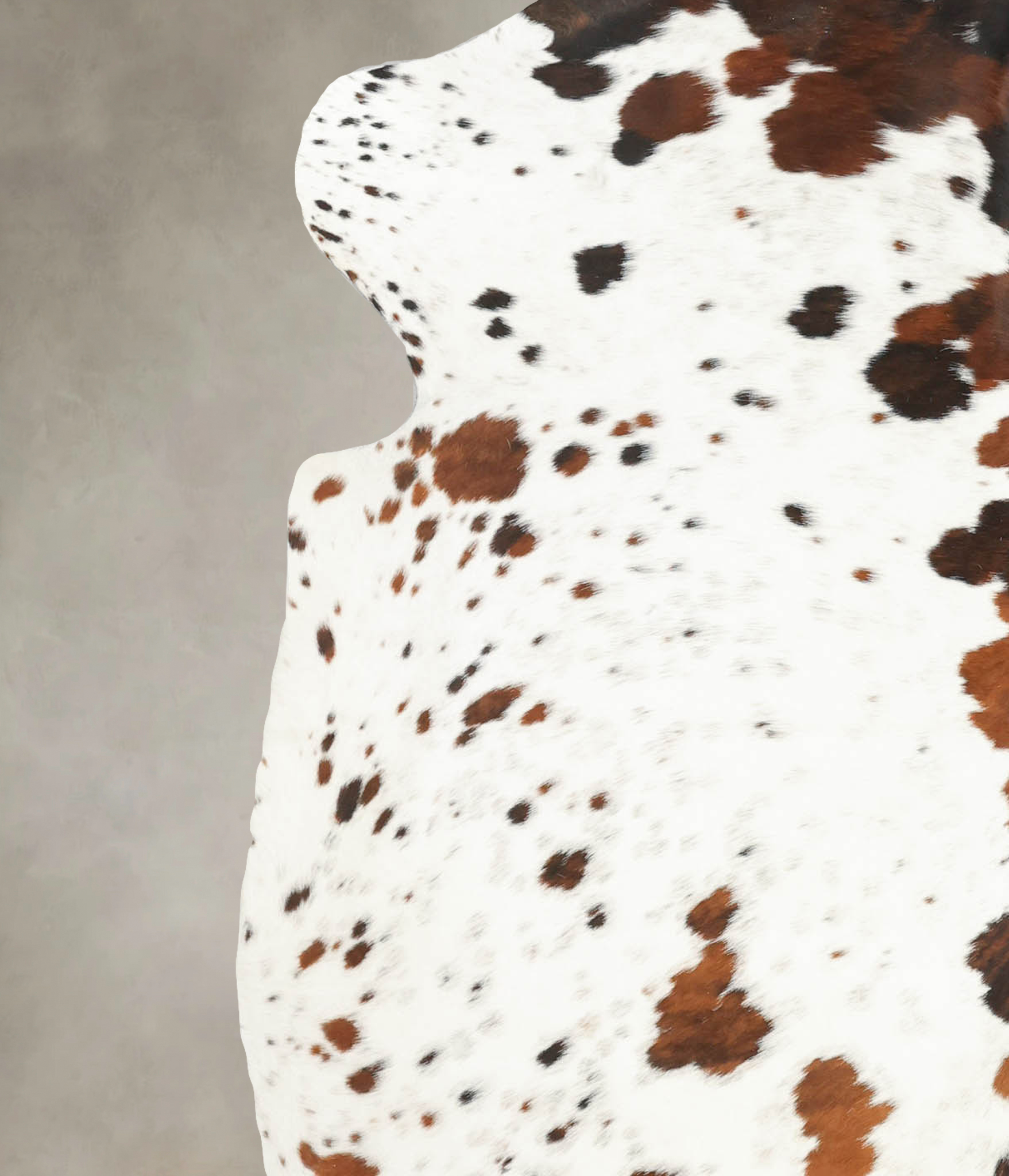 Tricolor Cowhide Rug #B5453