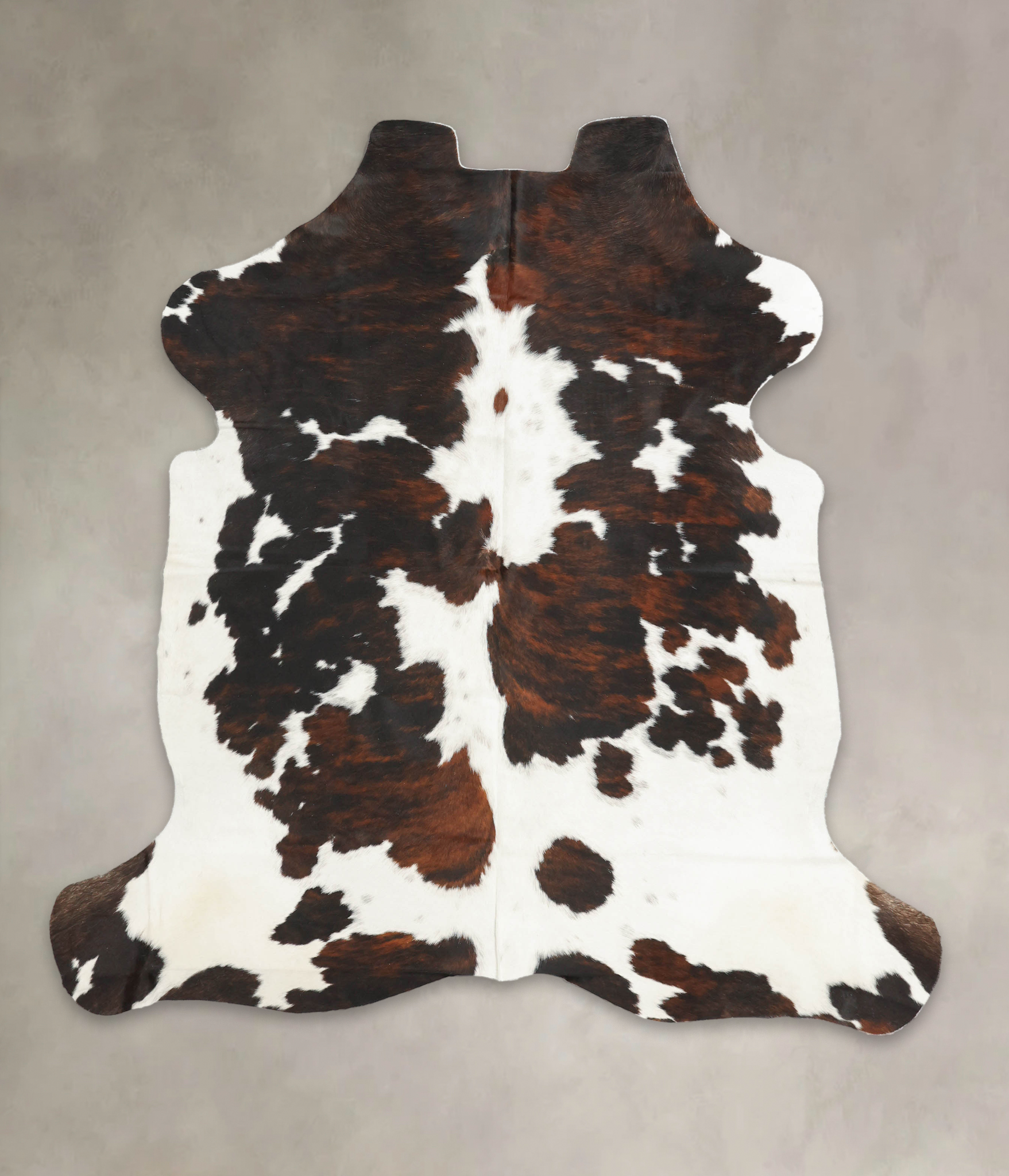 Tricolor Cowhide Rug #B5459