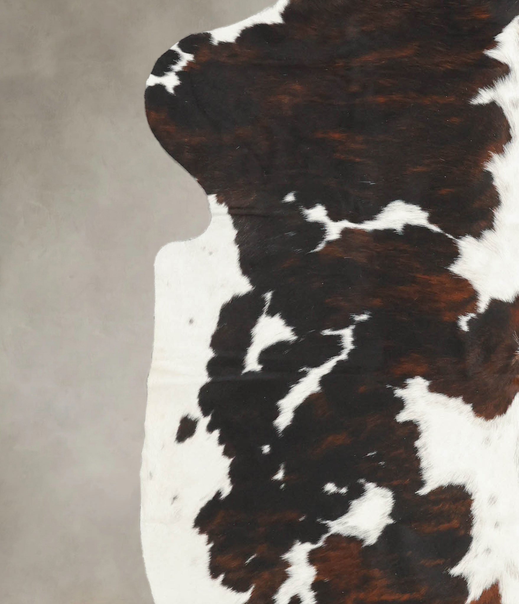 Tricolor Cowhide Rug #B5459