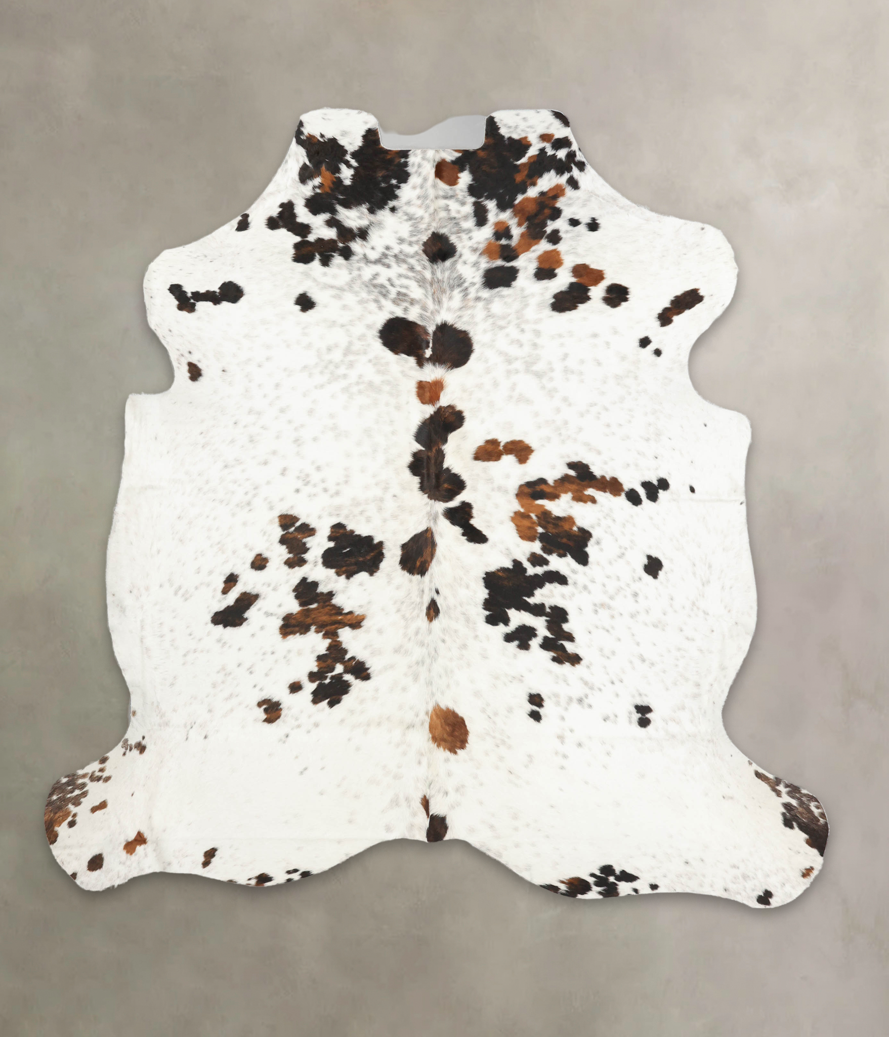 Tricolor Cowhide Rug #B5467