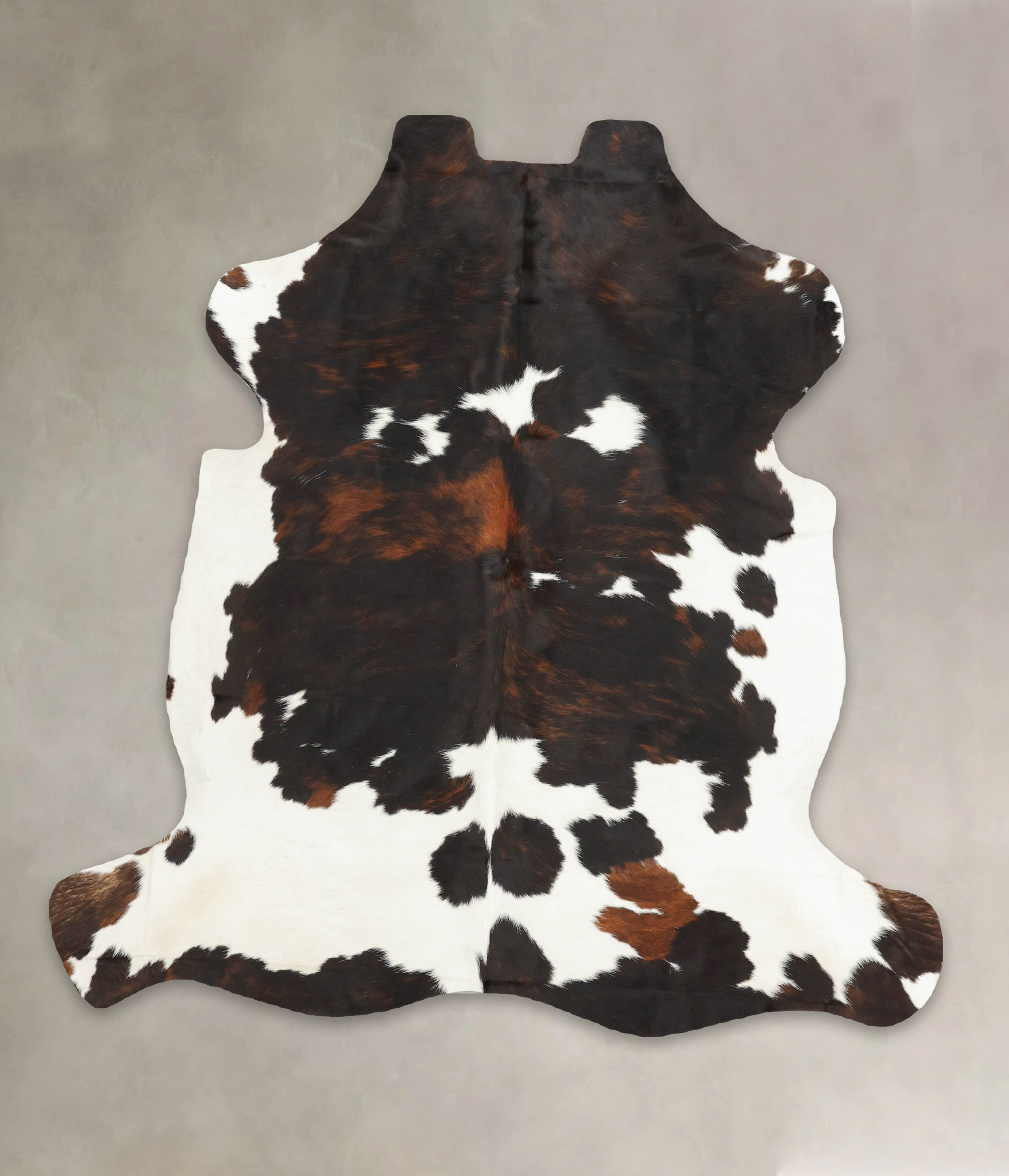 Tricolor Cowhide Rug #B5469