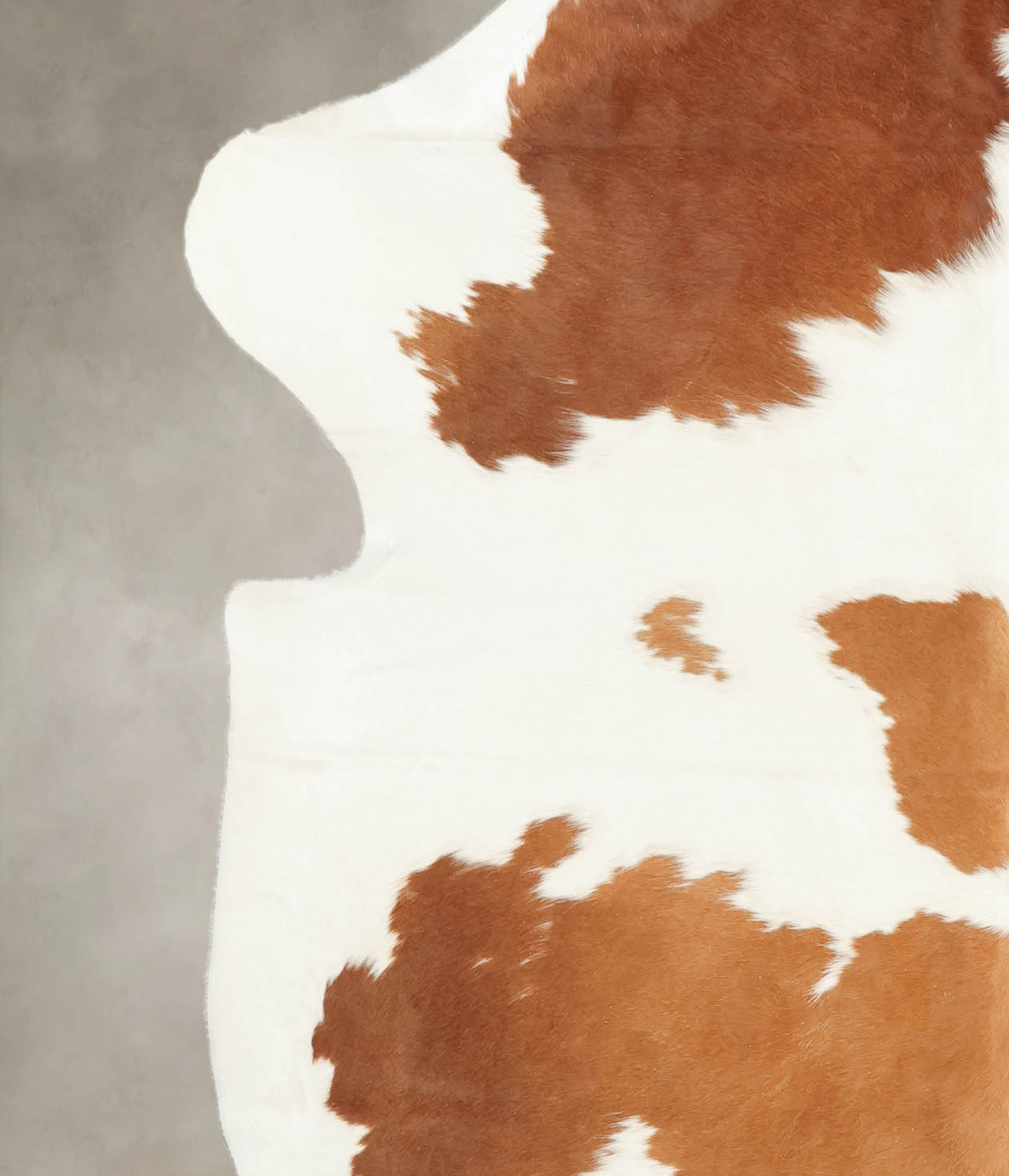 Brown and White Cowhide Rug #B5476