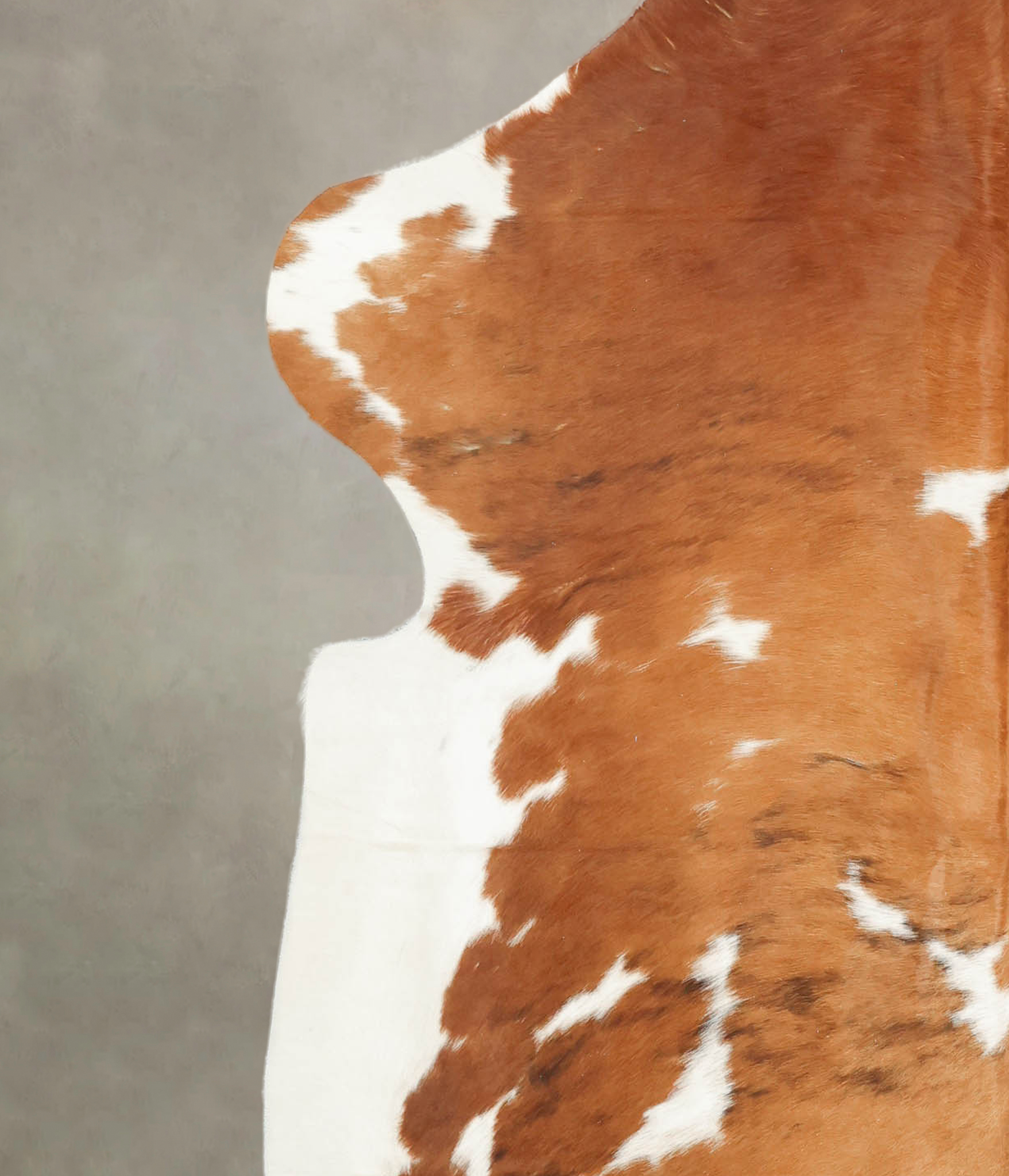 Brown and White Cowhide Rug #B5478