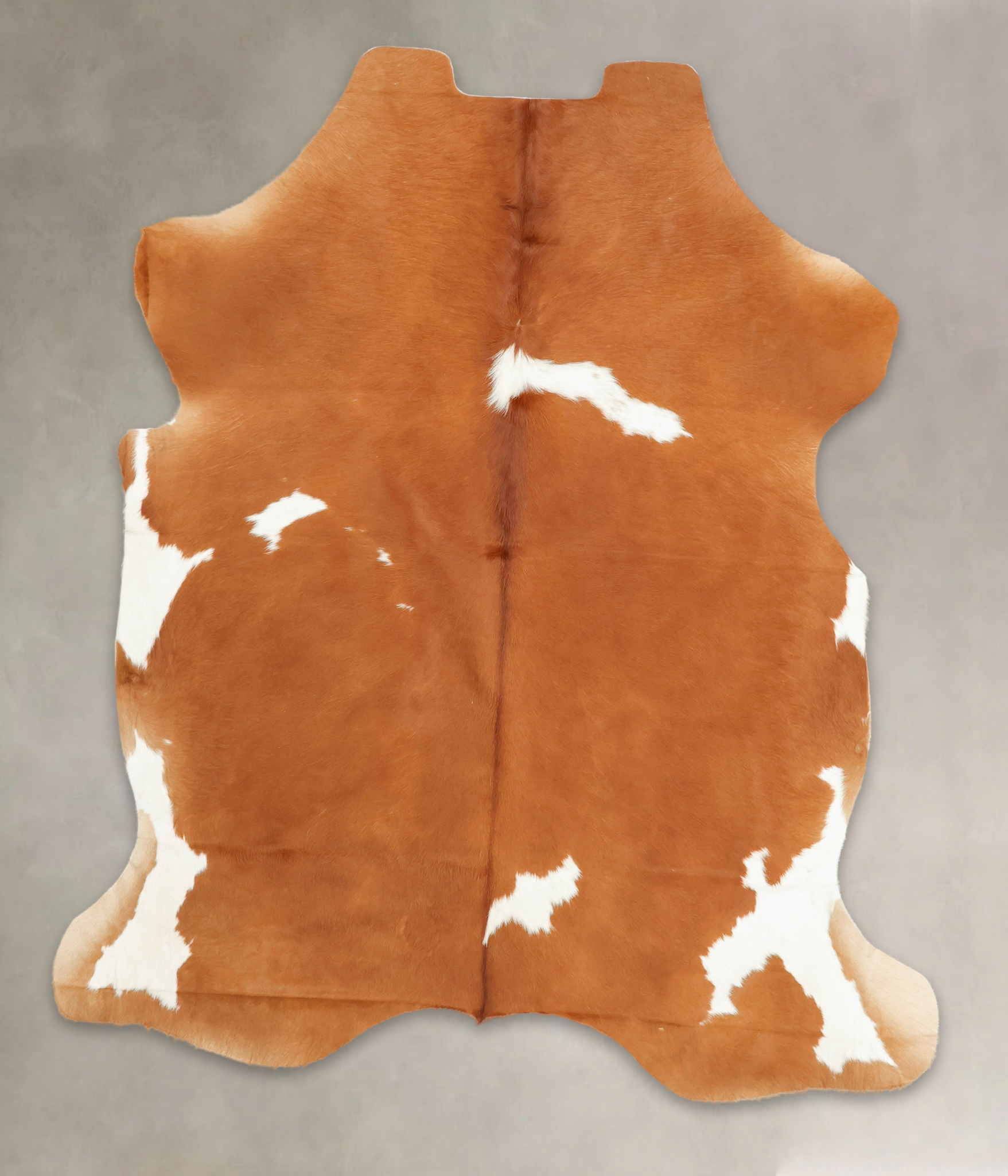 Brown and White Cowhide Rug #B5482